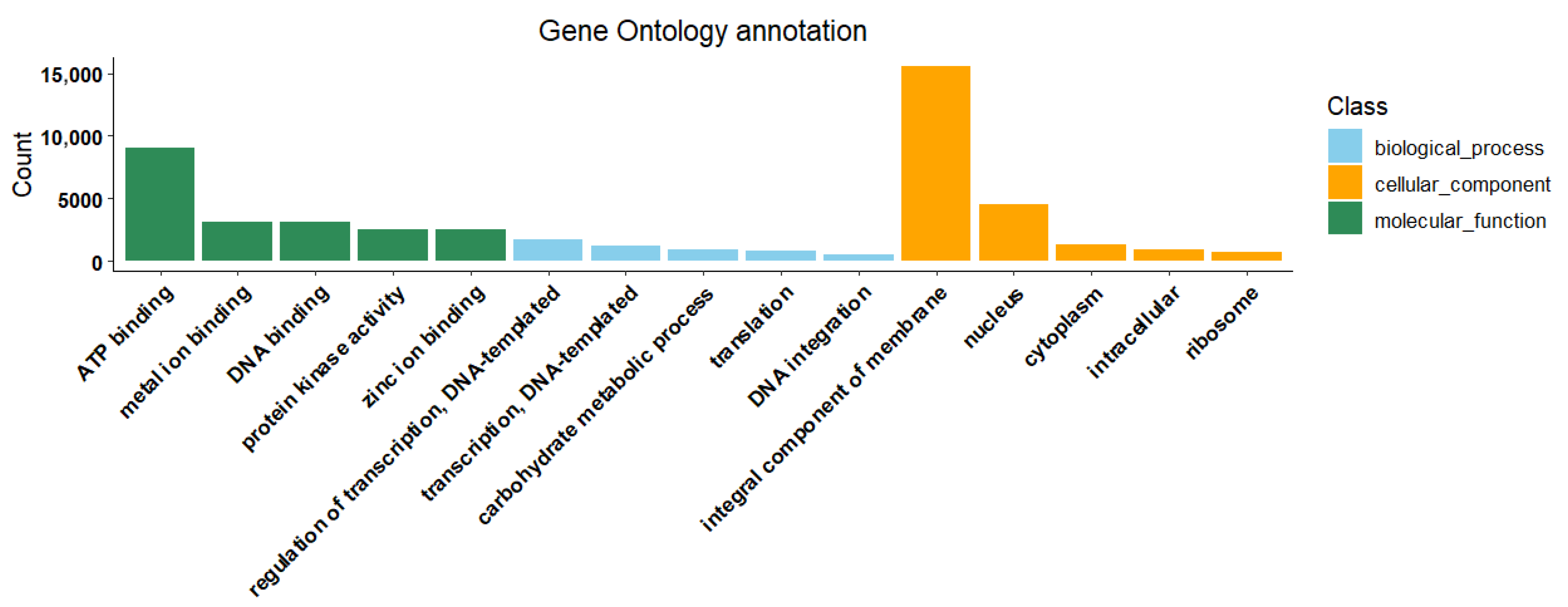 Ijms 26 09034 g004 Ijms 26 09034 g004