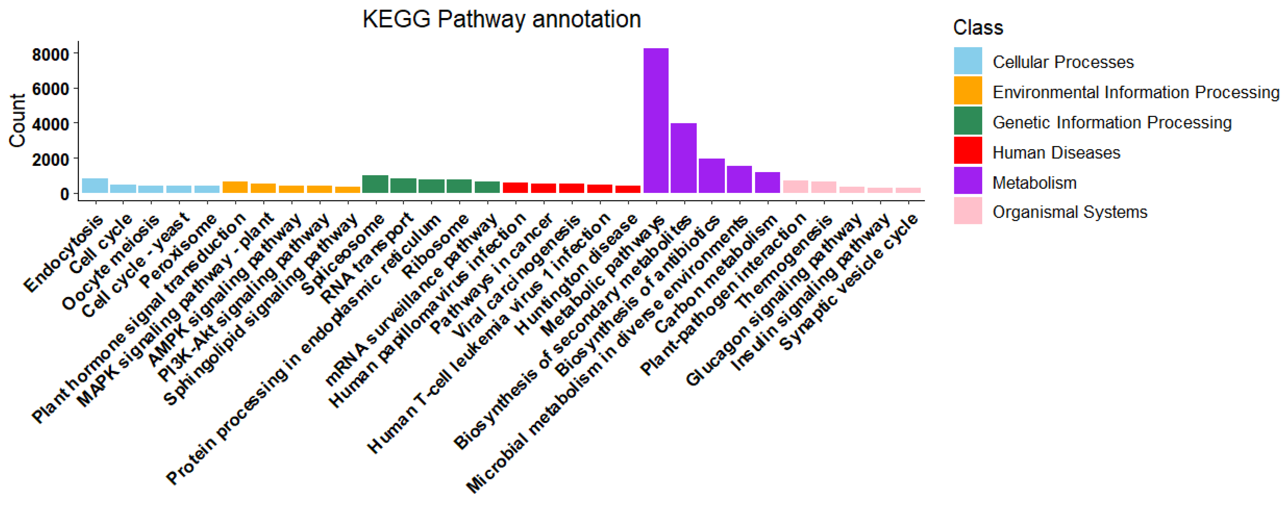Ijms 26 09034 g005 Ijms 26 09034 g005