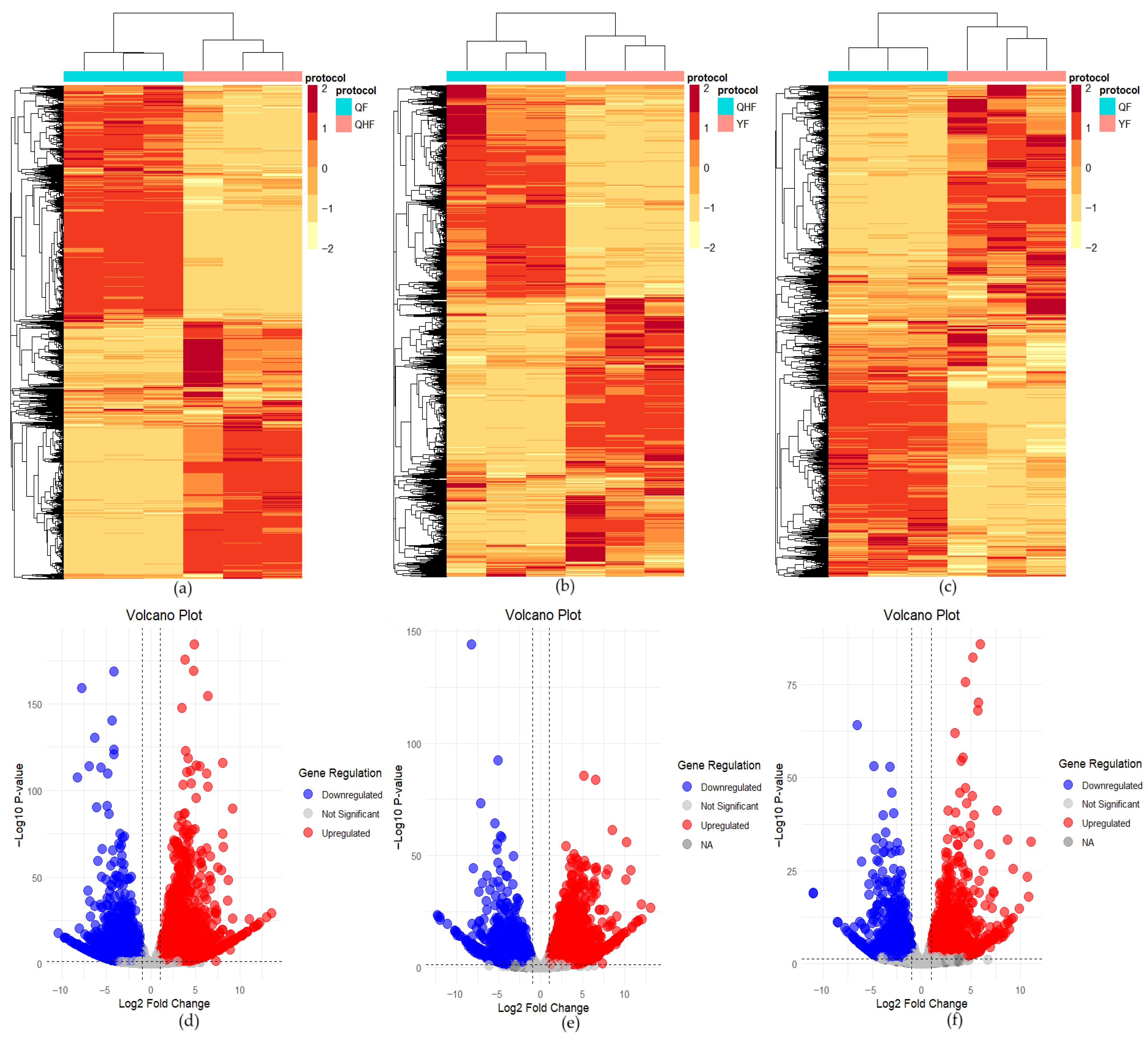 Ijms 26 09034 g007 Ijms 26 09034 g007