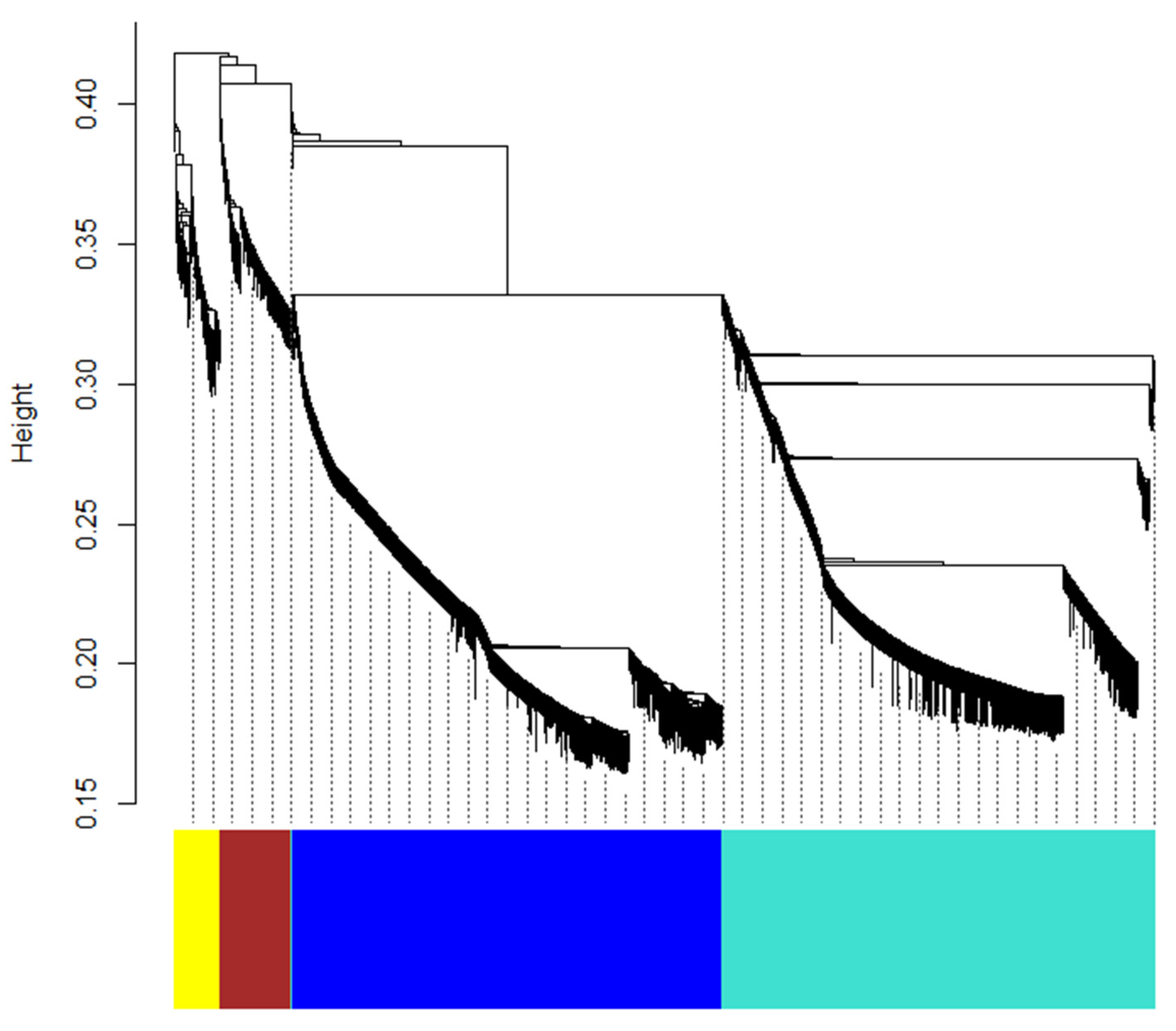 Ijms 26 09034 g008 Ijms 26 09034 g008