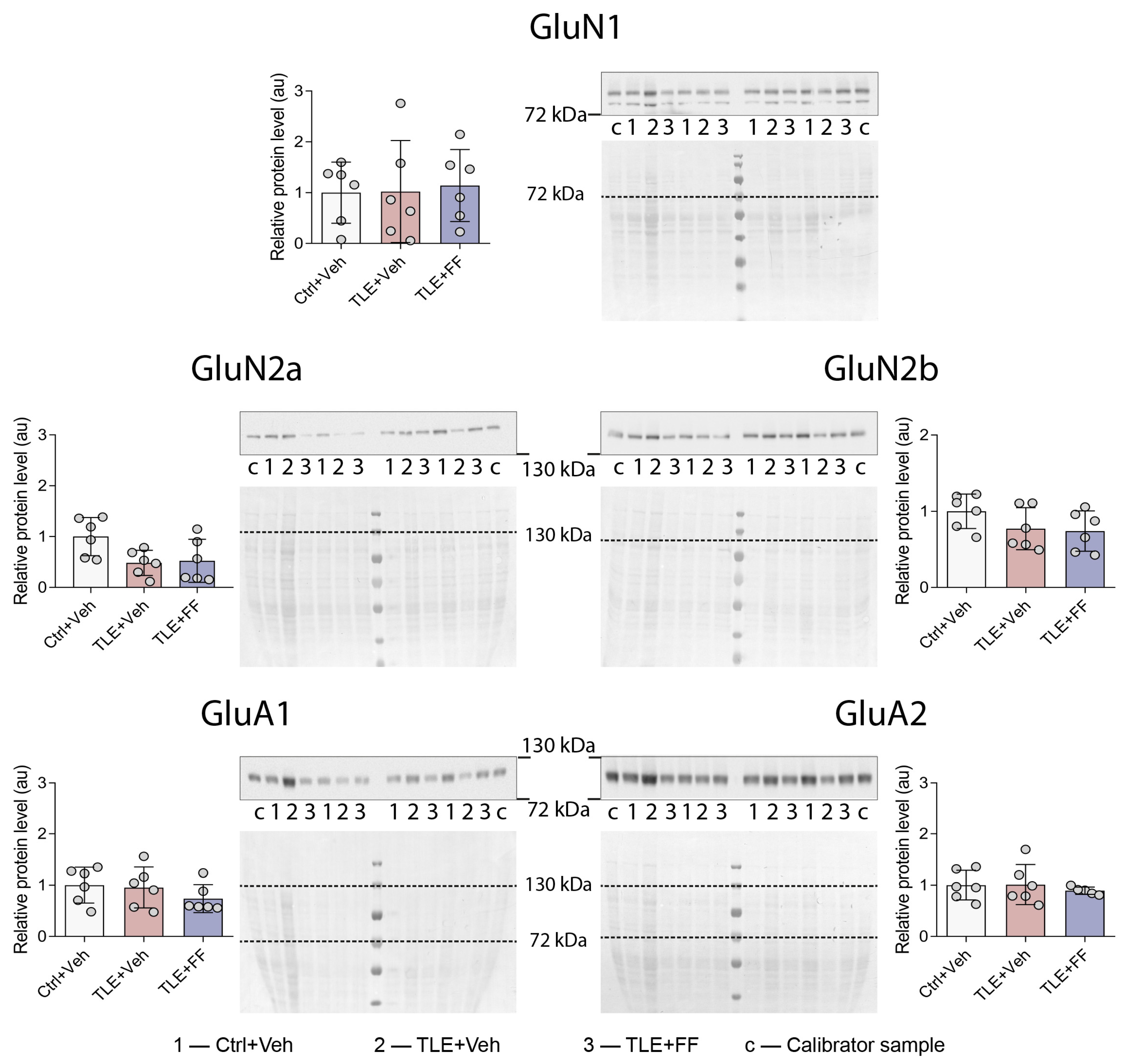 Ijms 26 09054 g005 Ijms 26 09054 g005