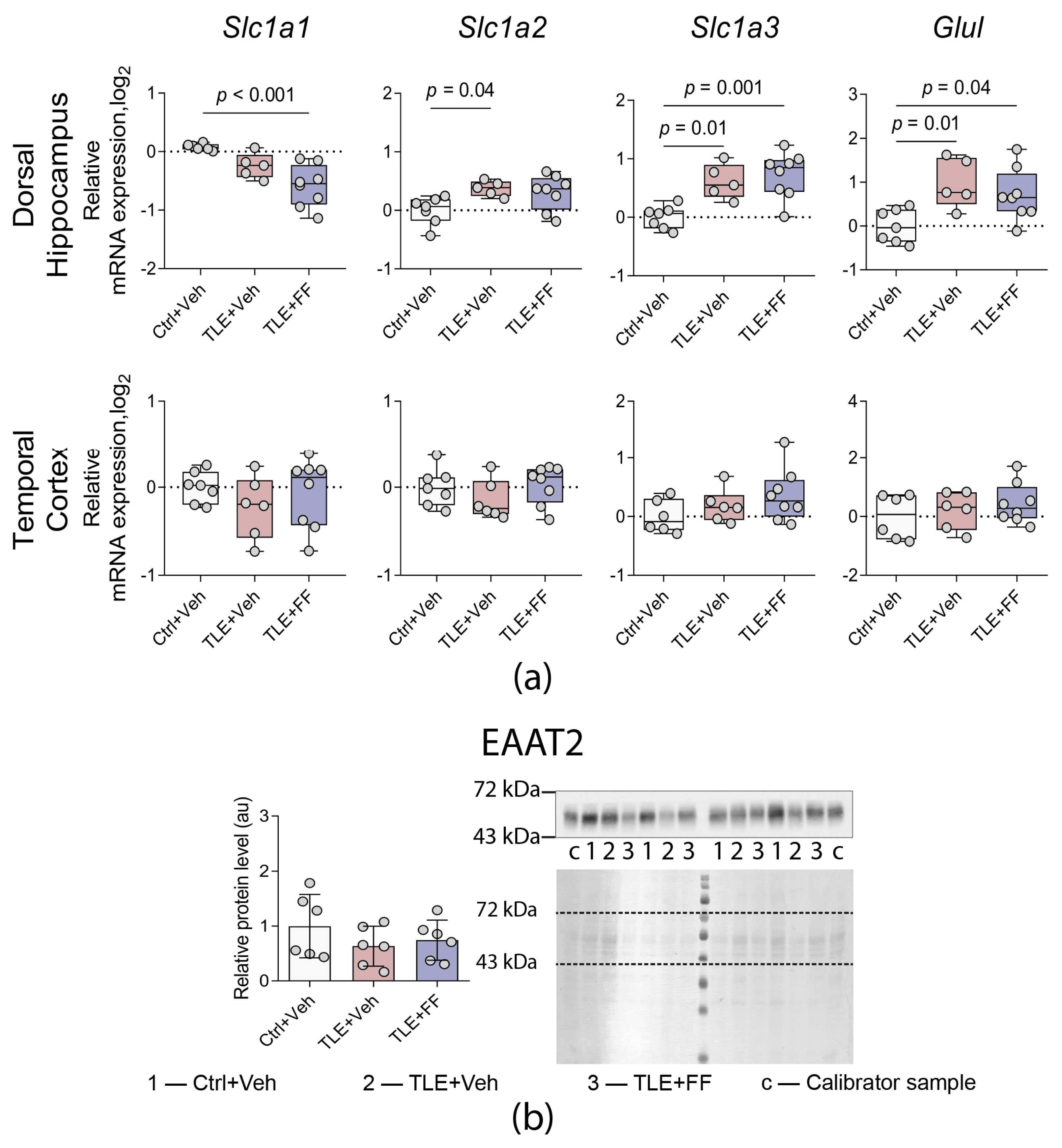 Ijms 26 09054 g006 Ijms 26 09054 g006