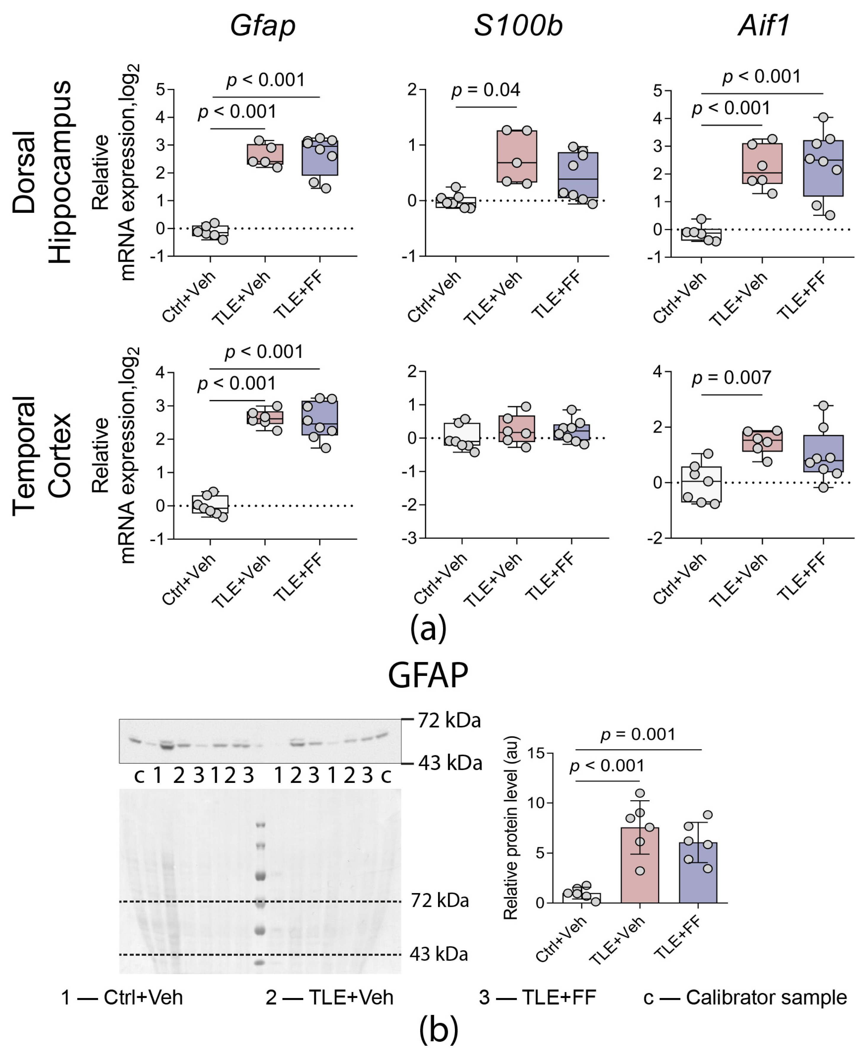 Ijms 26 09054 g007 Ijms 26 09054 g007
