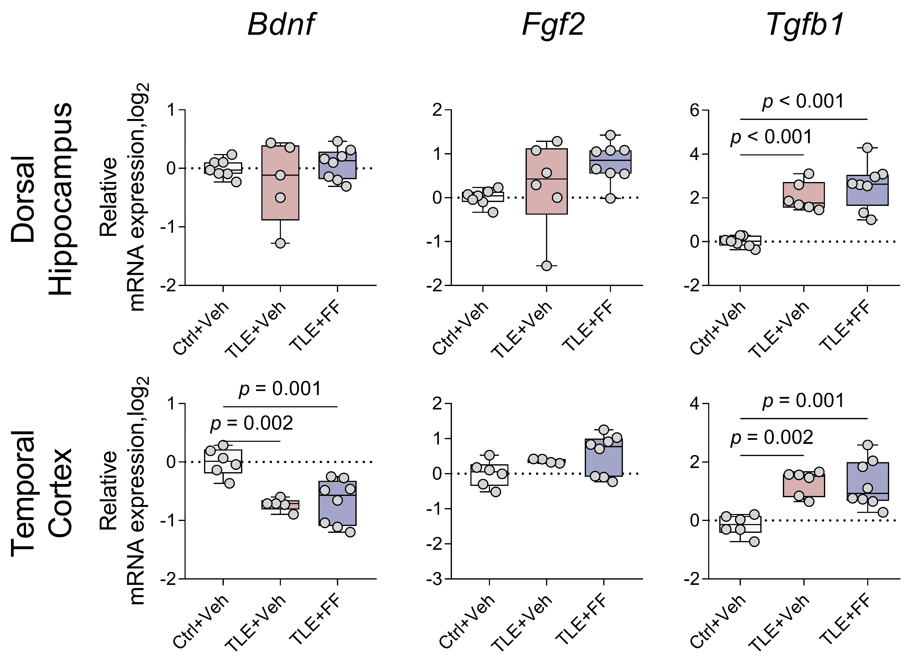 Ijms 26 09054 g011 Ijms 26 09054 g011