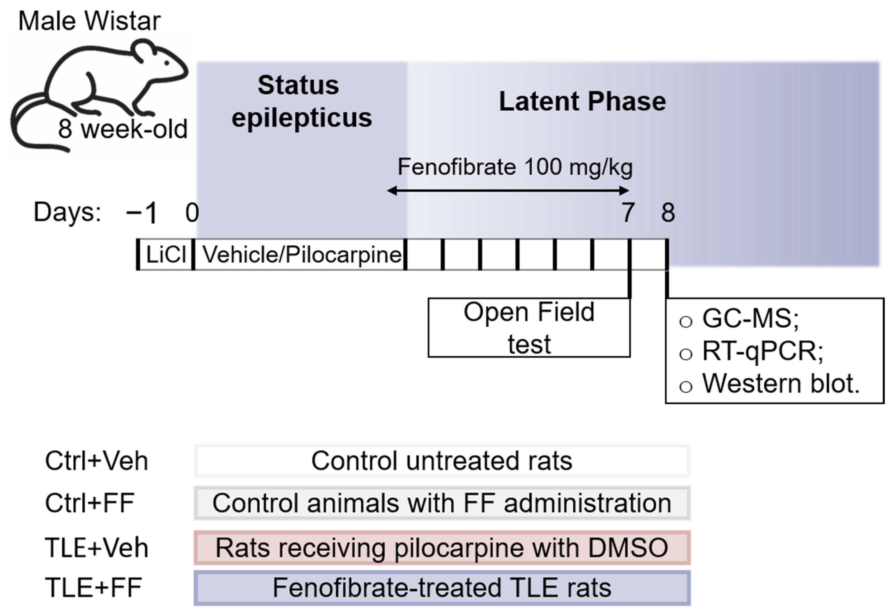Ijms 26 09054 g012 Ijms 26 09054 g012