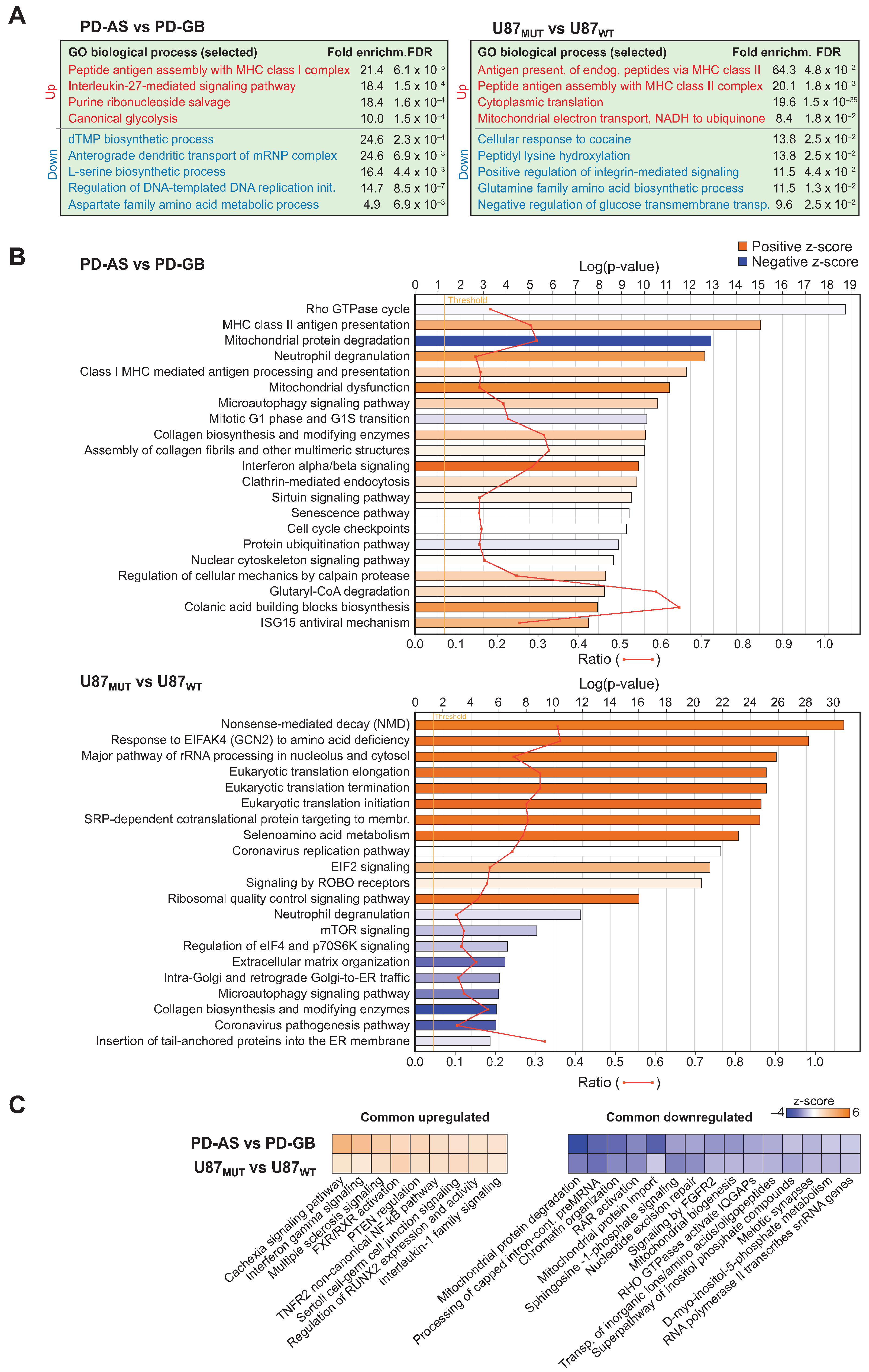 Ijms 26 09075 g002 Ijms 26 09075 g002