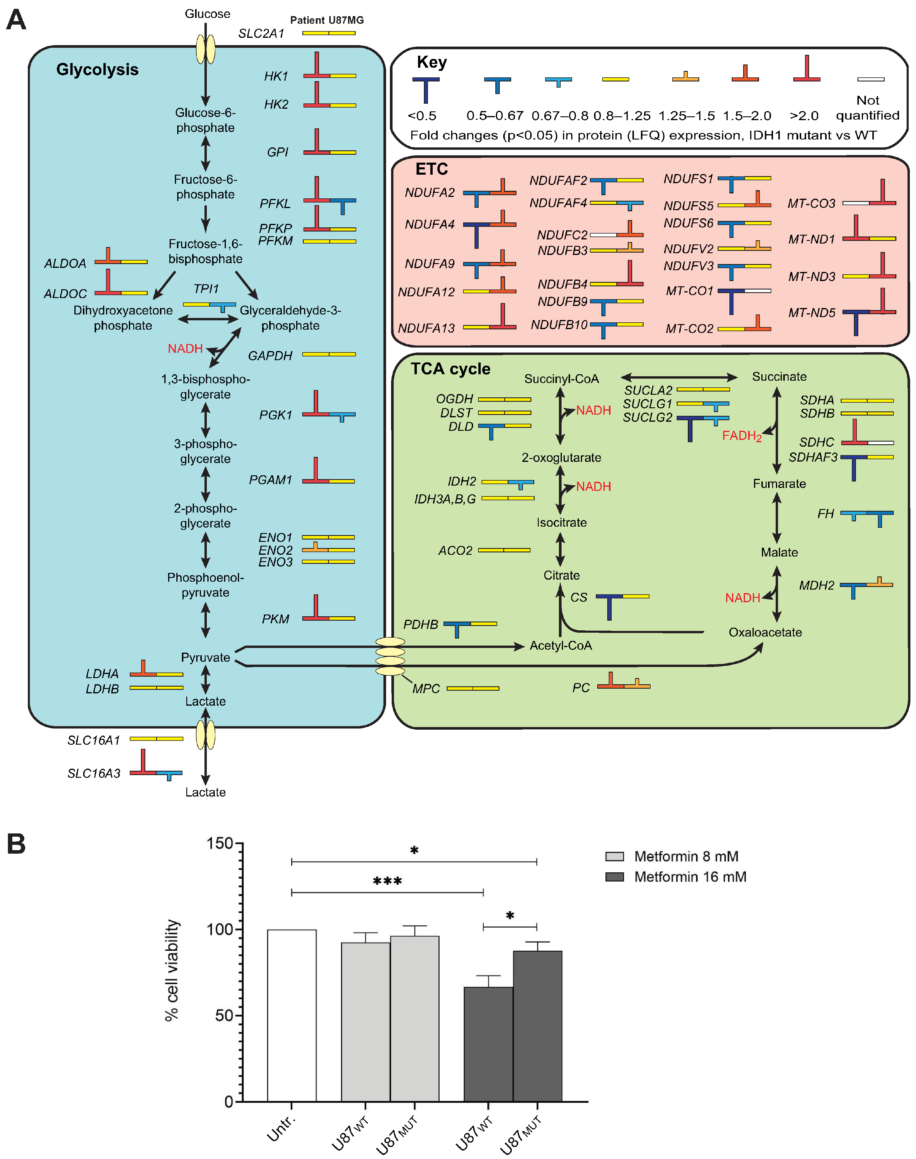 Ijms 26 09075 g003 Ijms 26 09075 g003