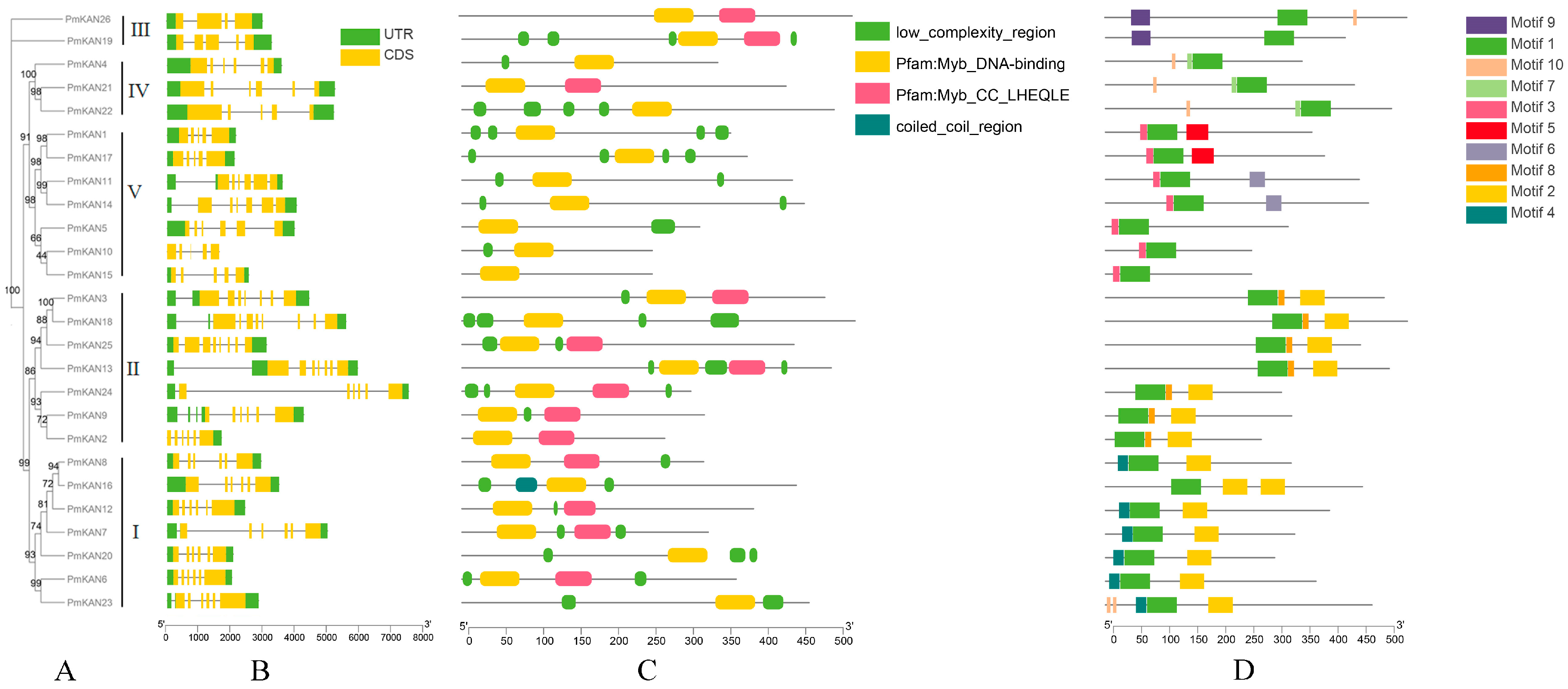 Ijms 26 09121 g004 Ijms 26 09121 g004
