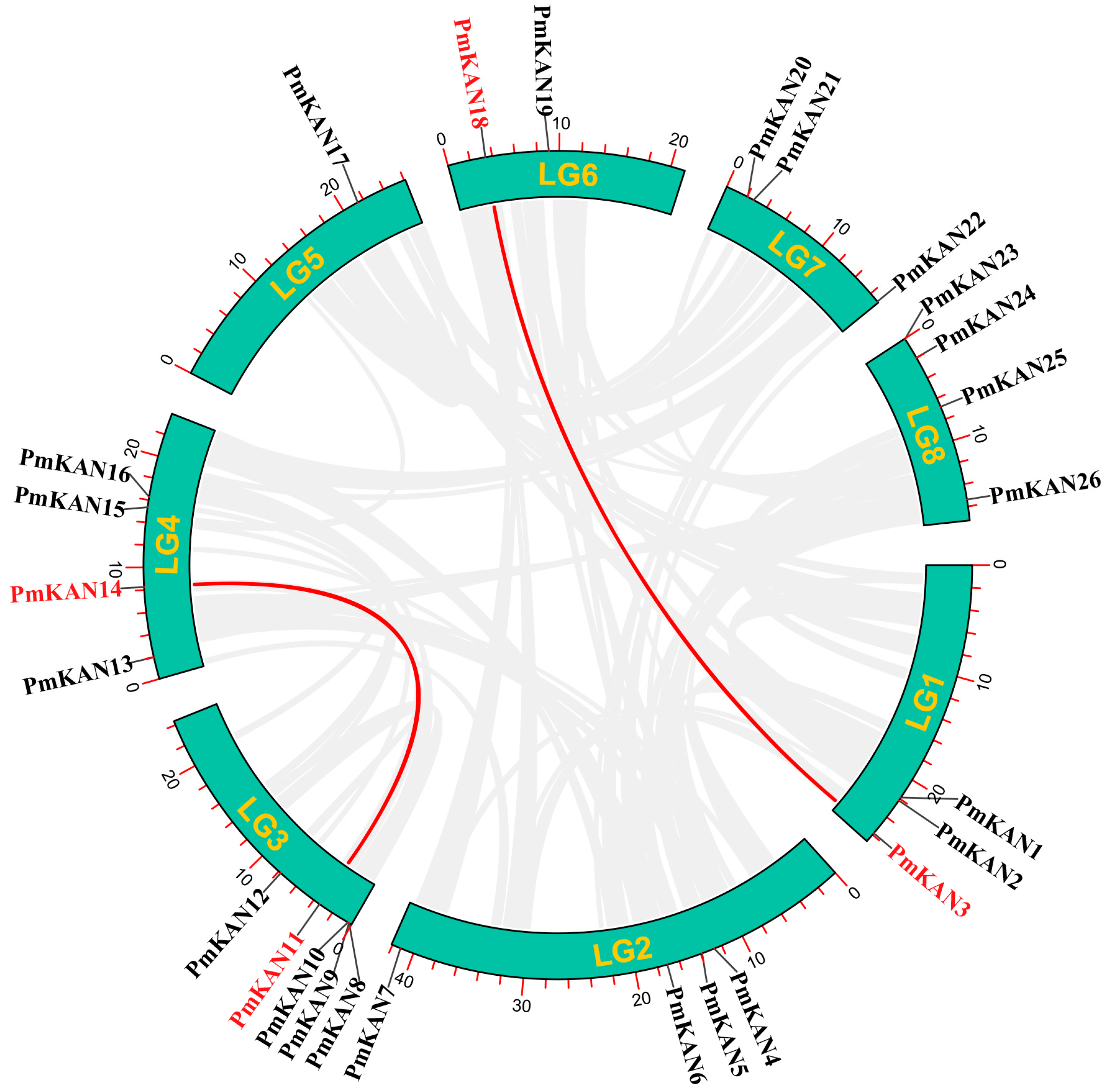 Ijms 26 09121 g006 Ijms 26 09121 g006