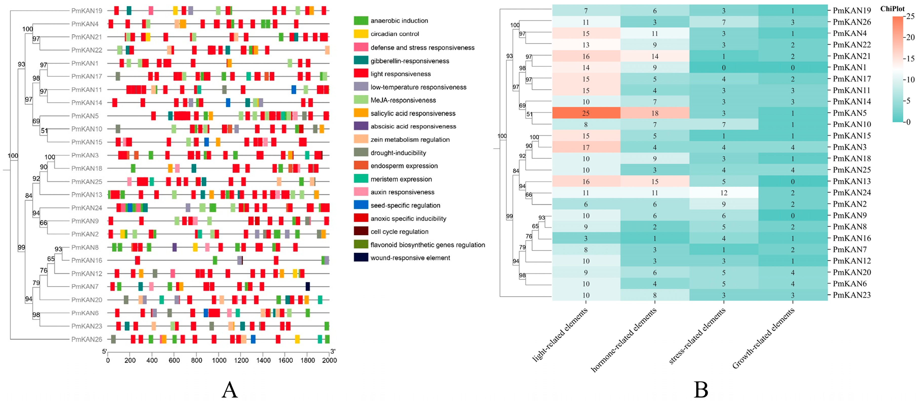 Ijms 26 09121 g008 Ijms 26 09121 g008