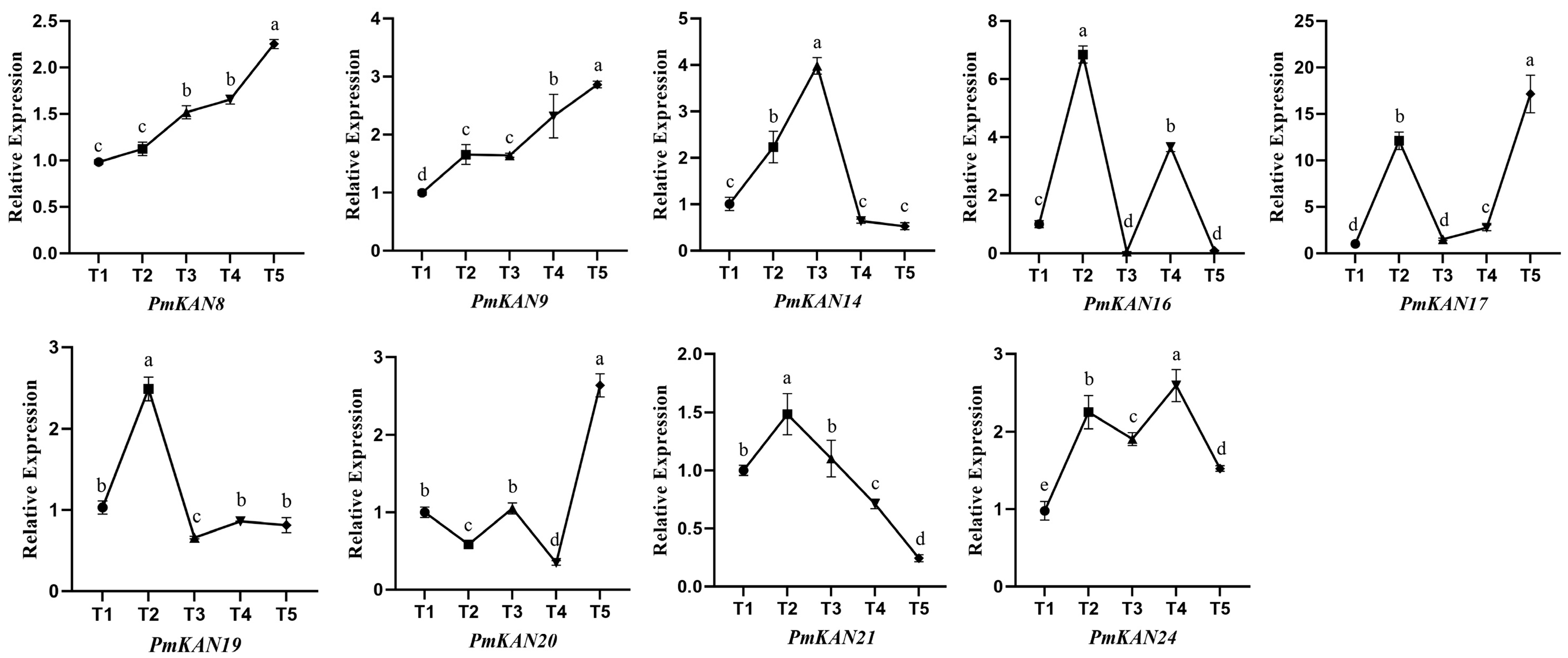 Ijms 26 09121 g010 Ijms 26 09121 g010