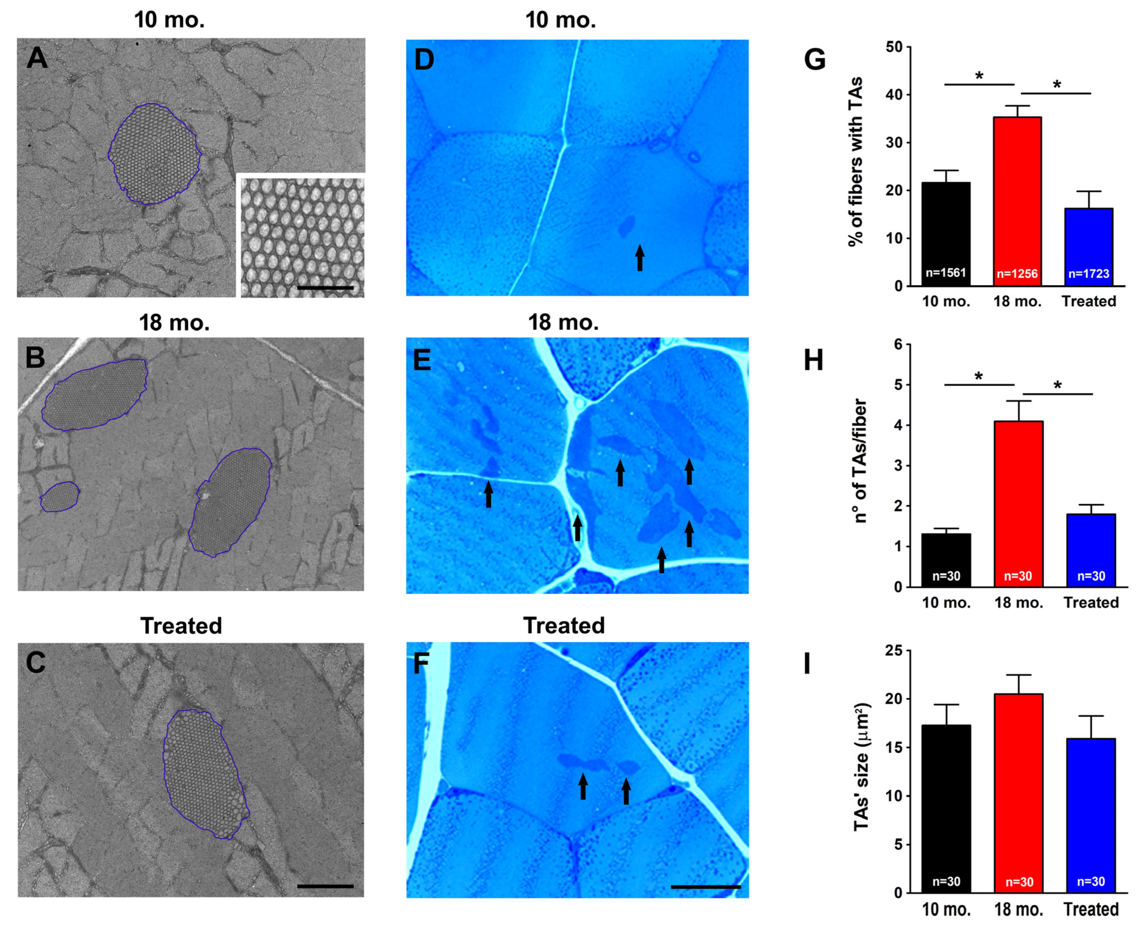 Ijms 26 09122 g001 Ijms 26 09122 g001
