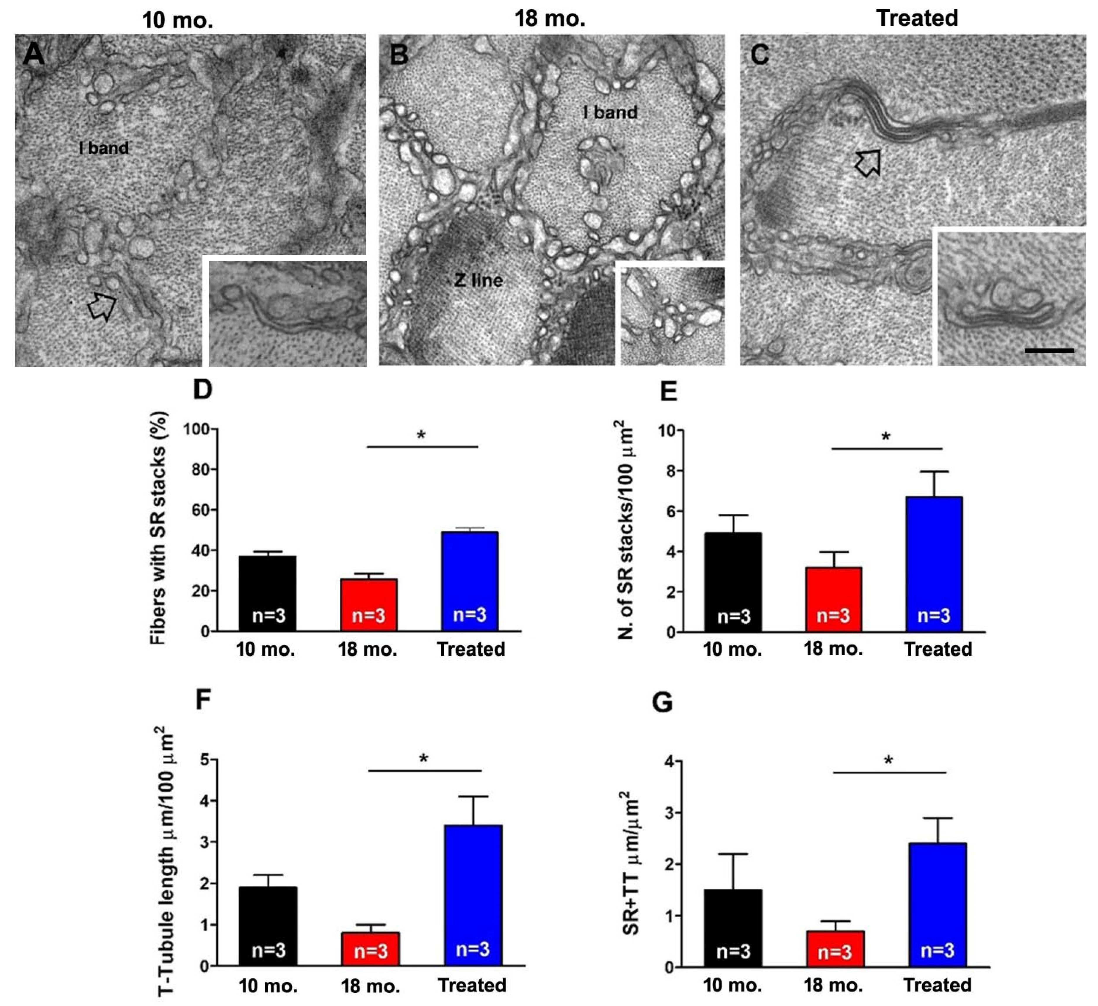 Ijms 26 09122 g004 Ijms 26 09122 g004