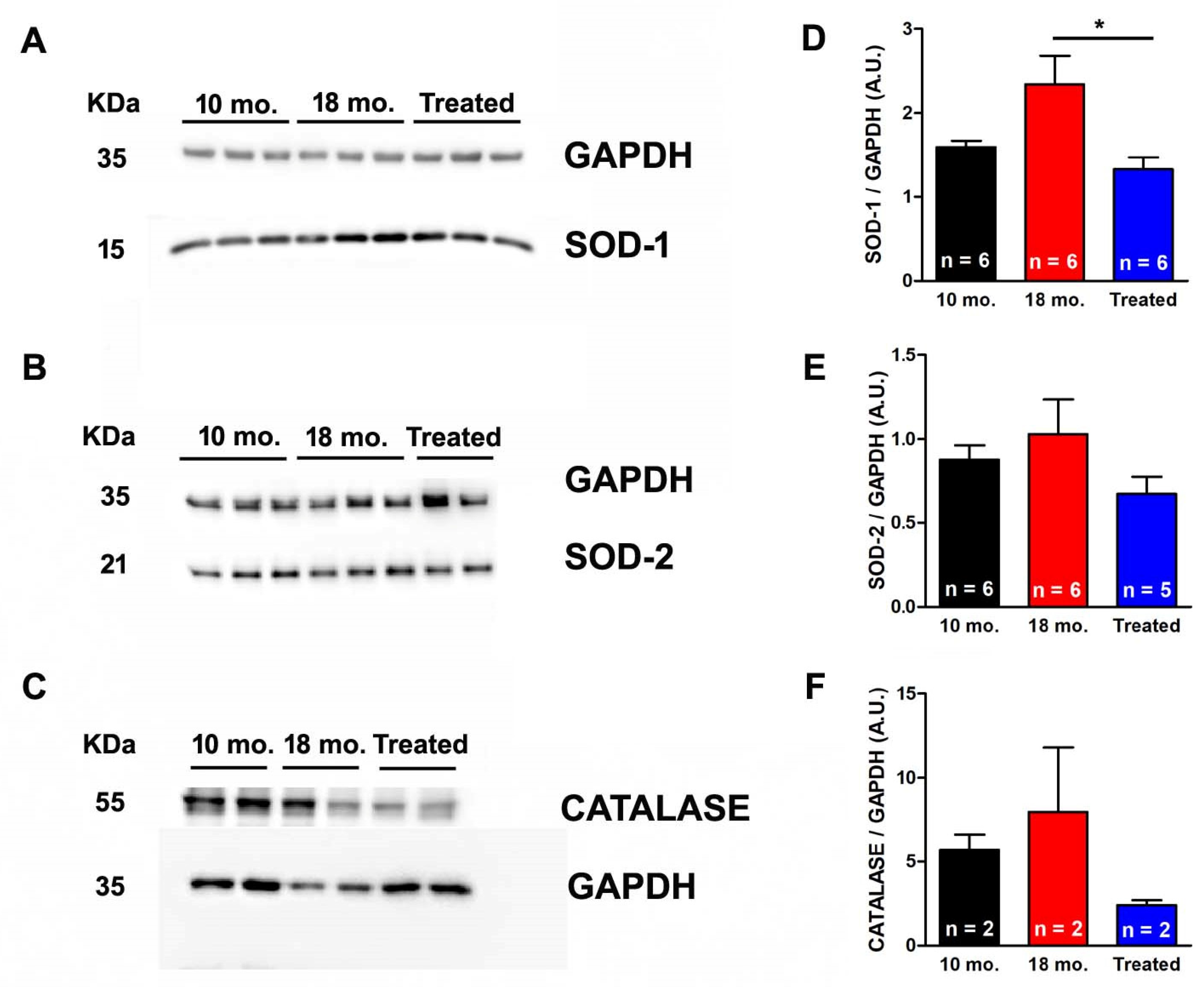 Ijms 26 09122 g005 Ijms 26 09122 g005