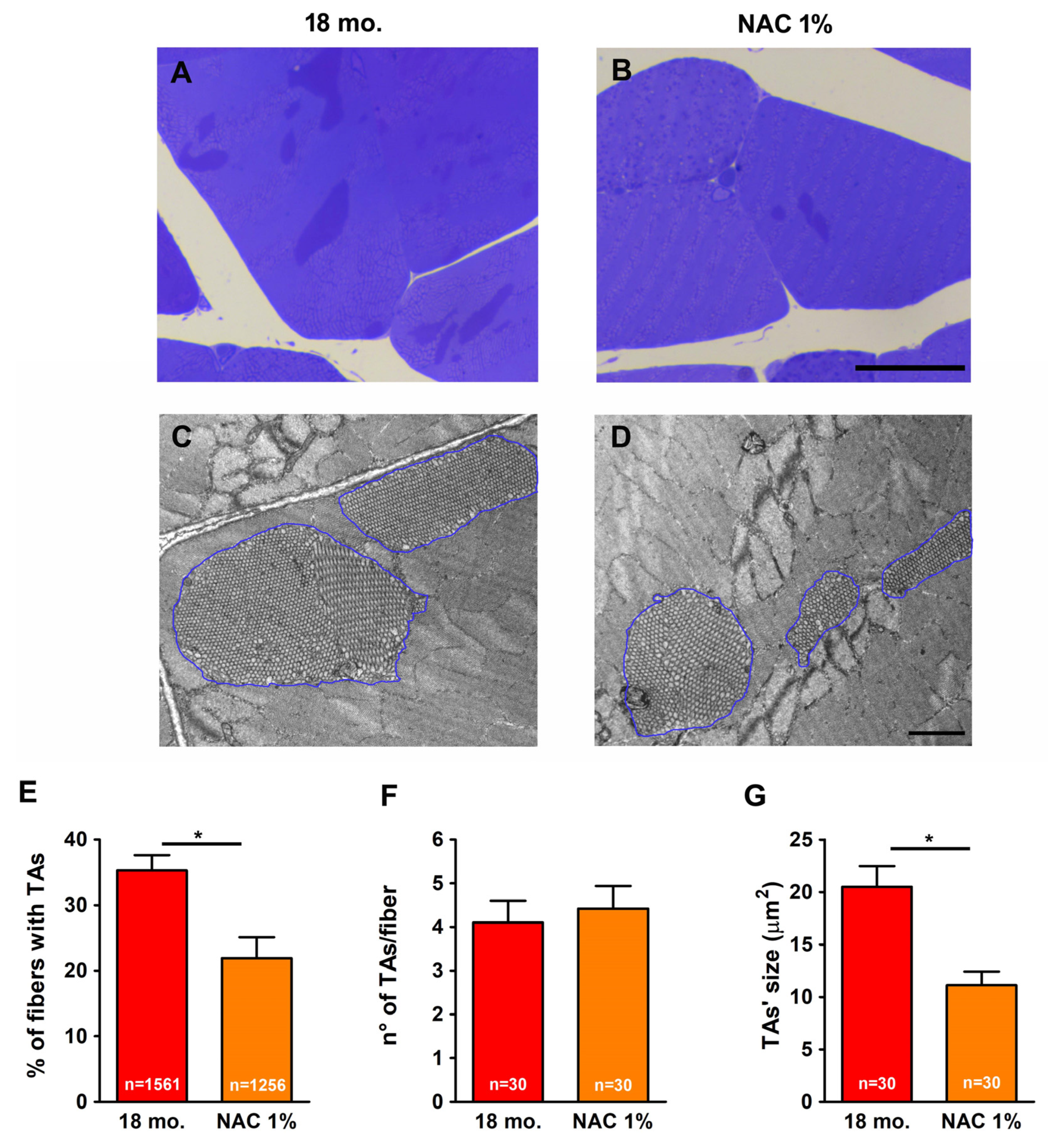 Ijms 26 09122 g006 Ijms 26 09122 g006