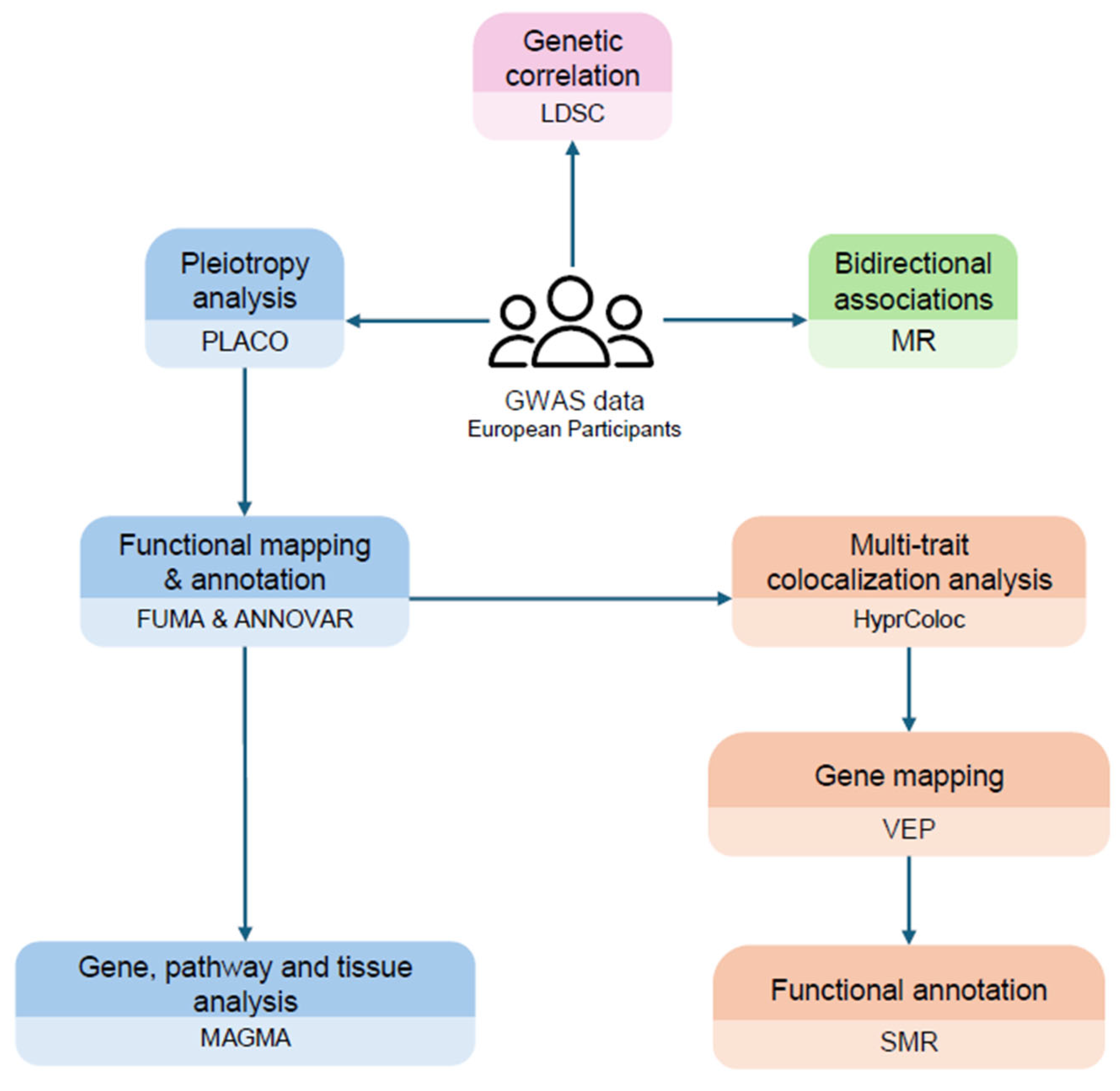 Ijms 26 09124 g001 Ijms 26 09124 g001