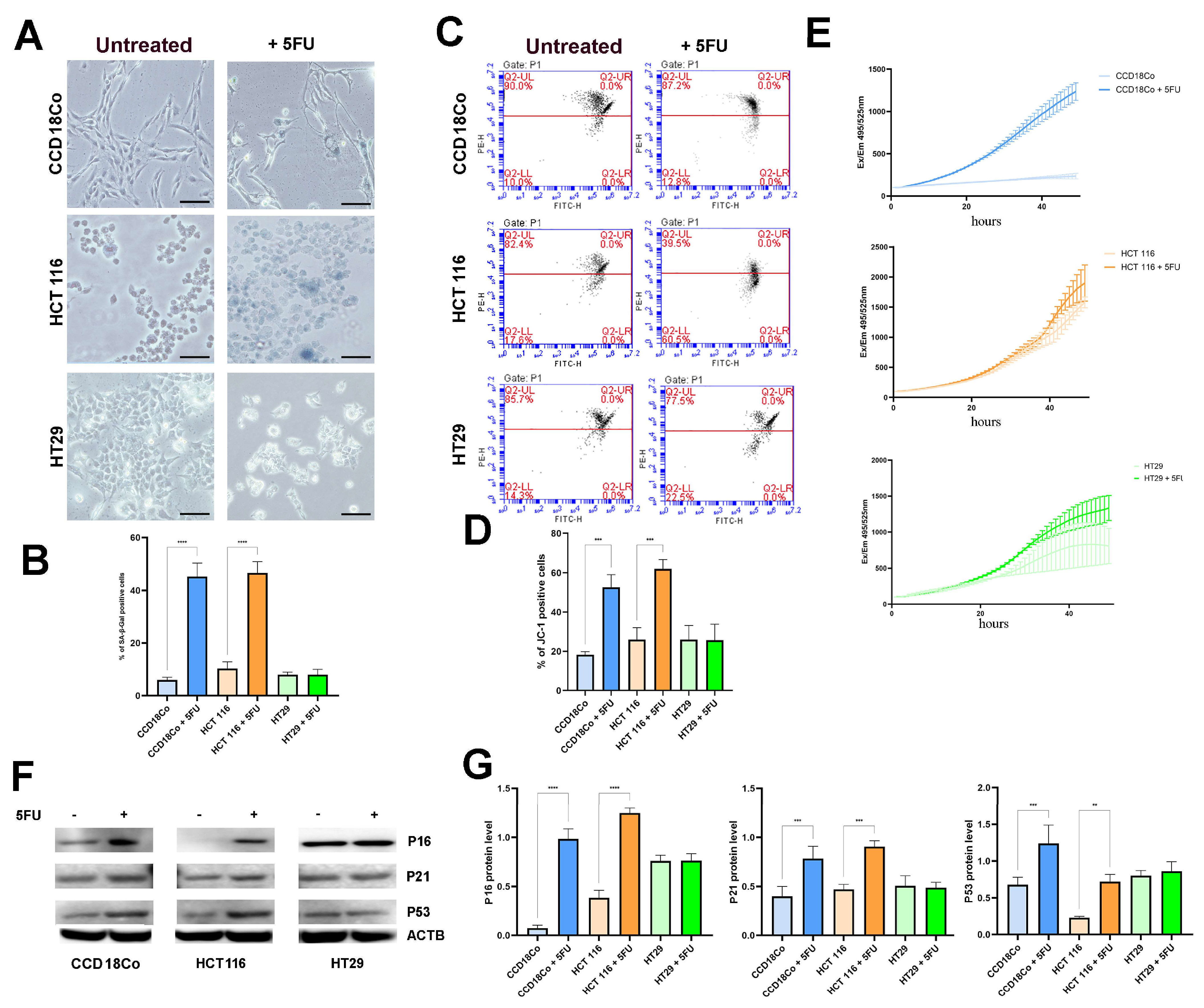 Ijms 26 09134 g001 Ijms 26 09134 g001