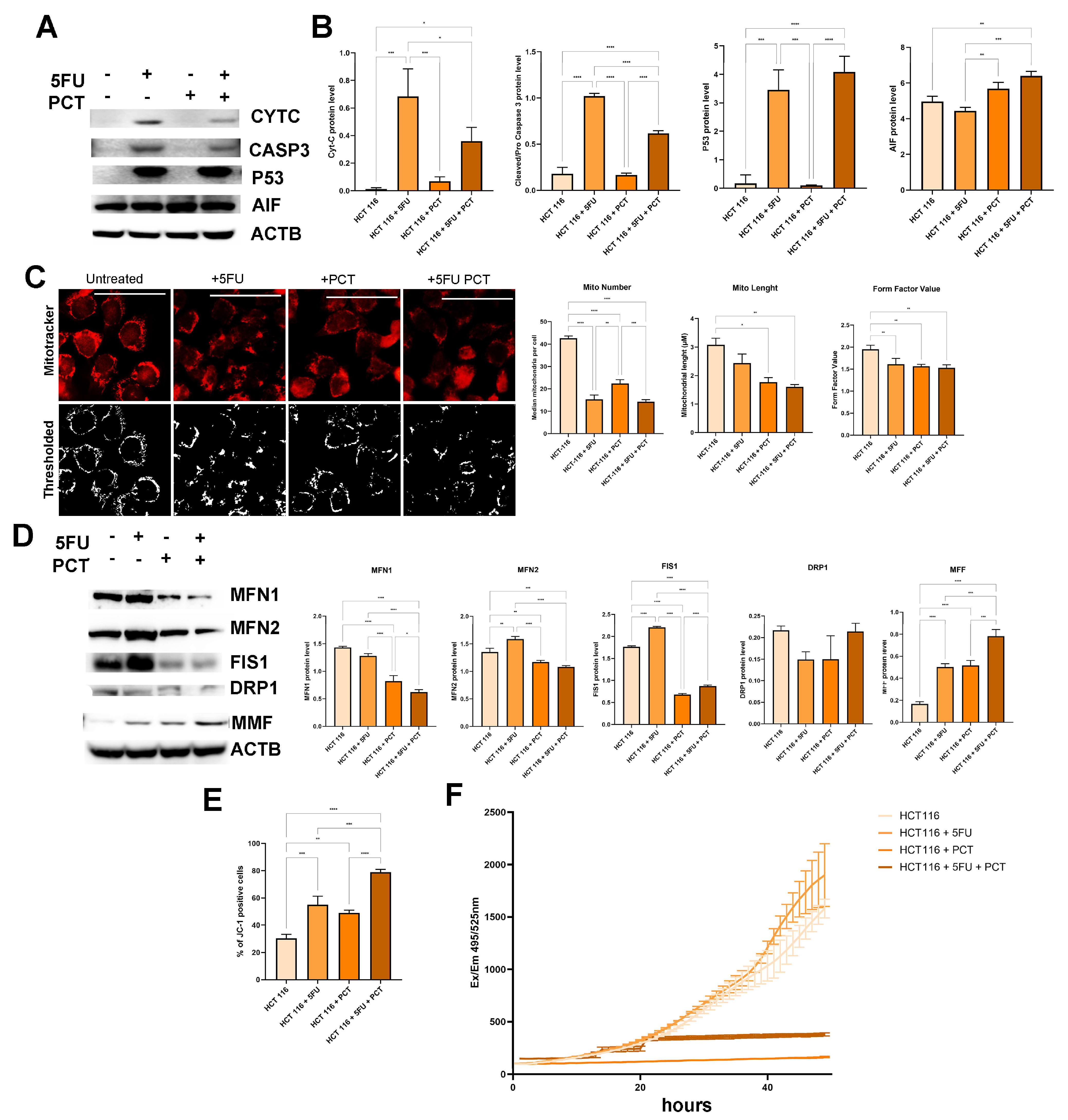 Ijms 26 09134 g003 Ijms 26 09134 g003