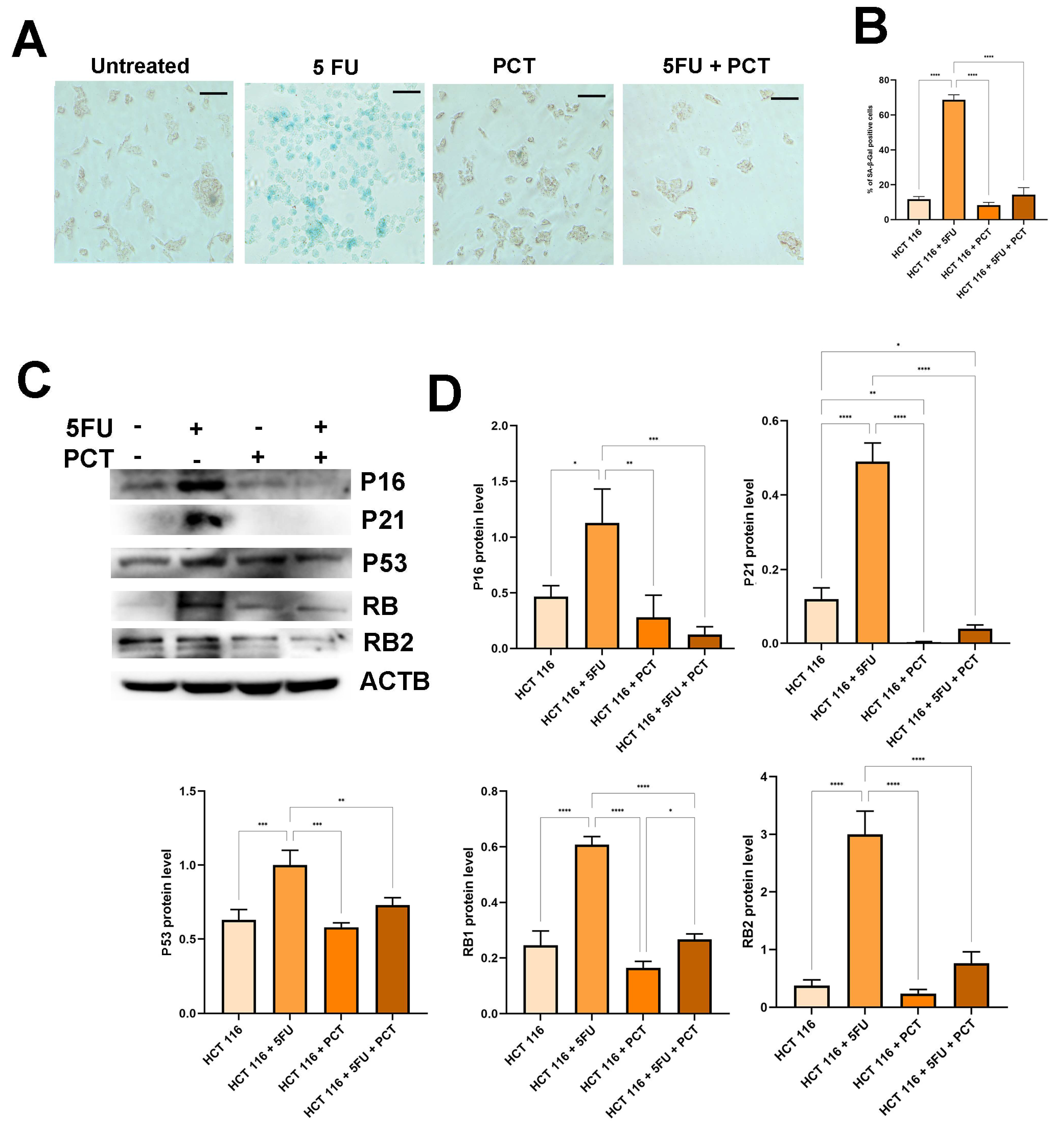 Ijms 26 09134 g004 Ijms 26 09134 g004