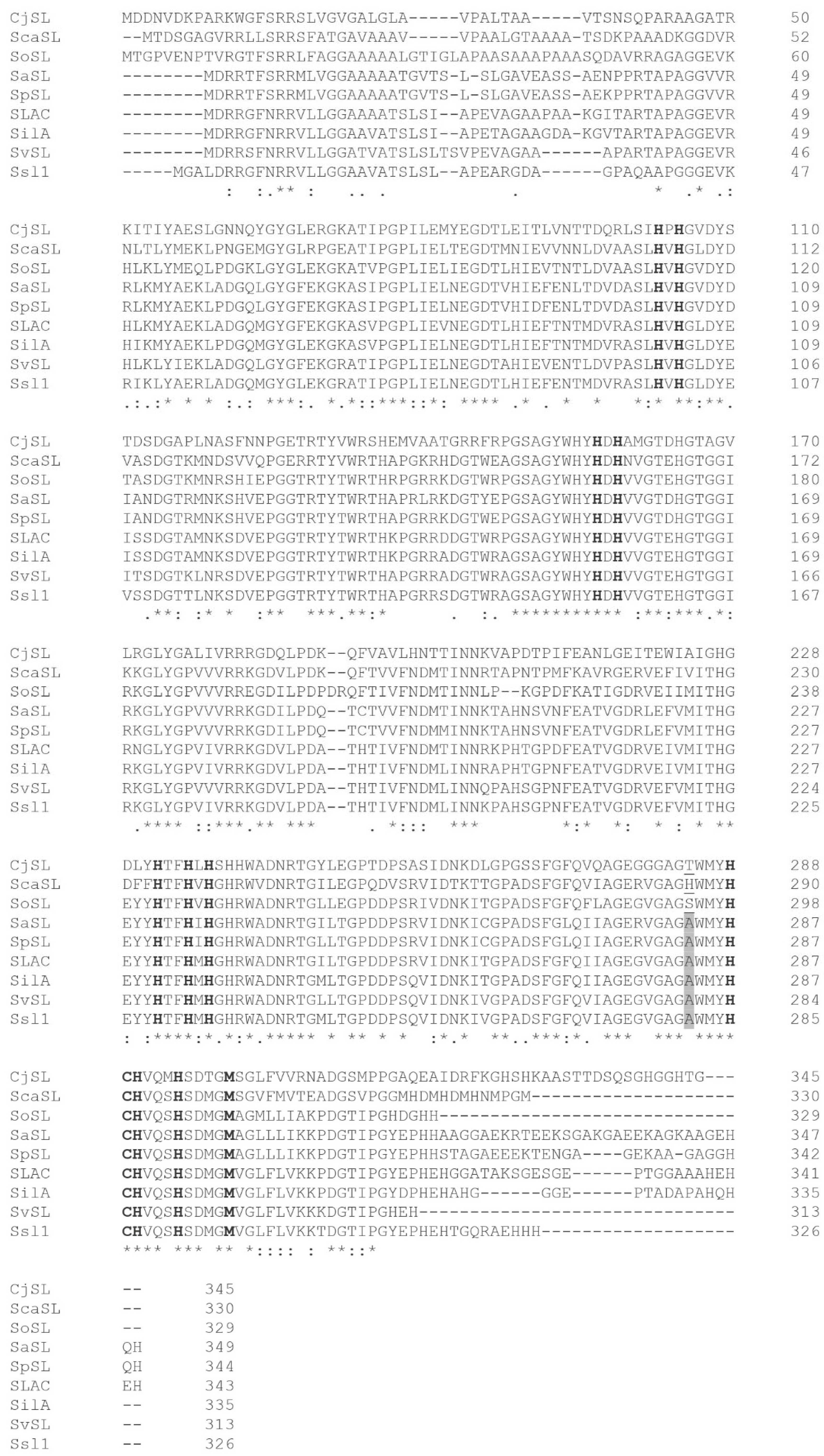 Ijms 26 09143 g001 Ijms 26 09143 g001