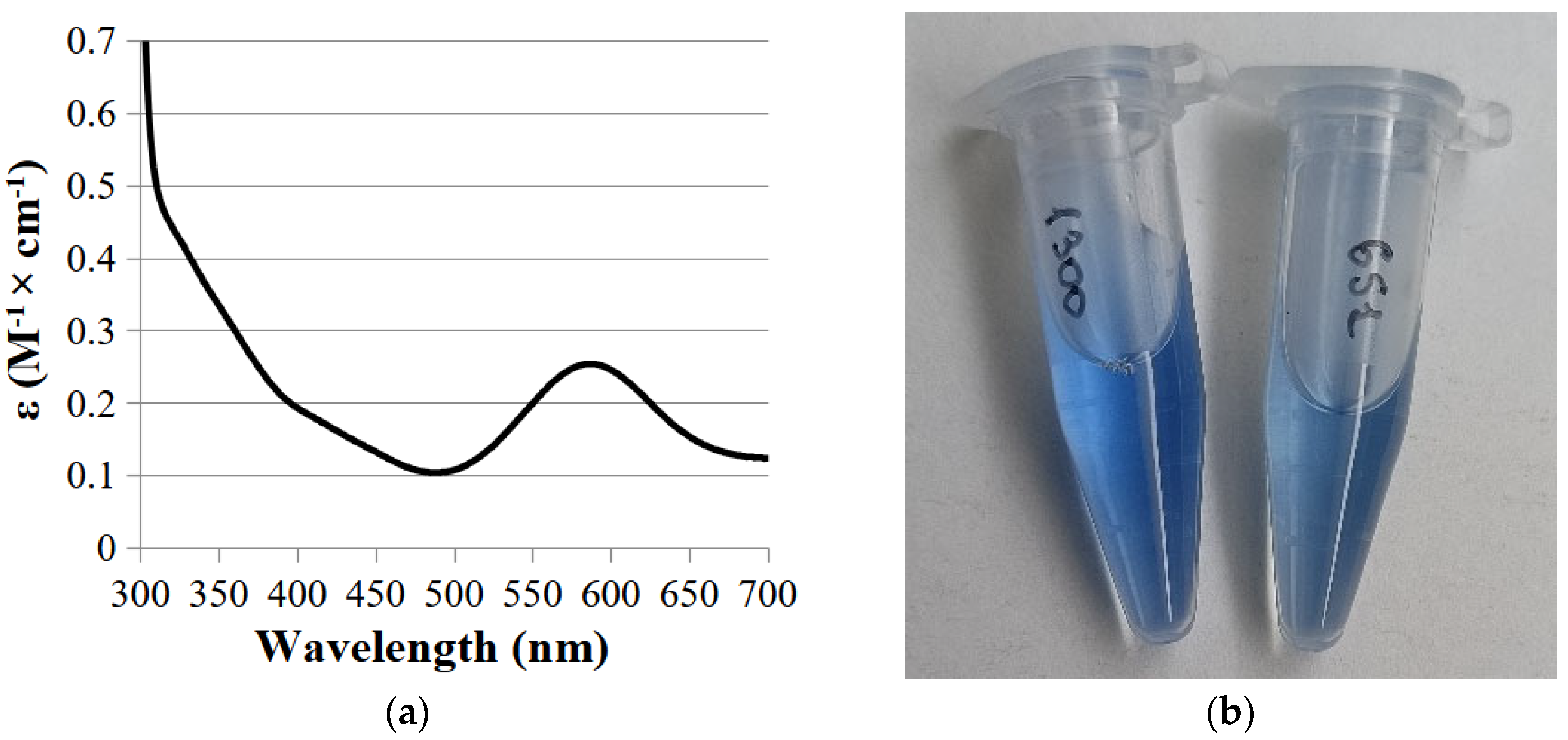 Ijms 26 09143 g003 Ijms 26 09143 g003