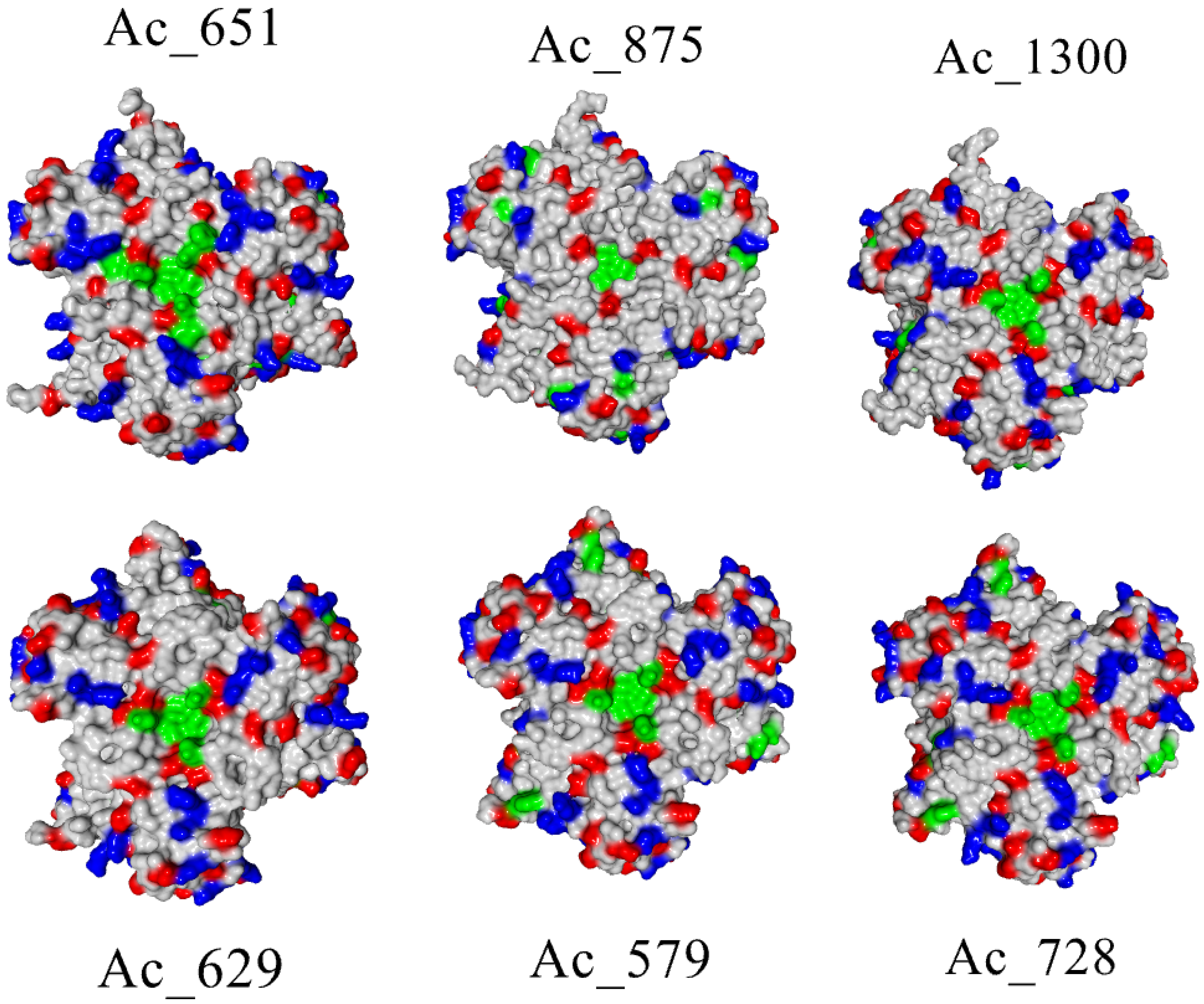 Ijms 26 09143 g005 Ijms 26 09143 g005