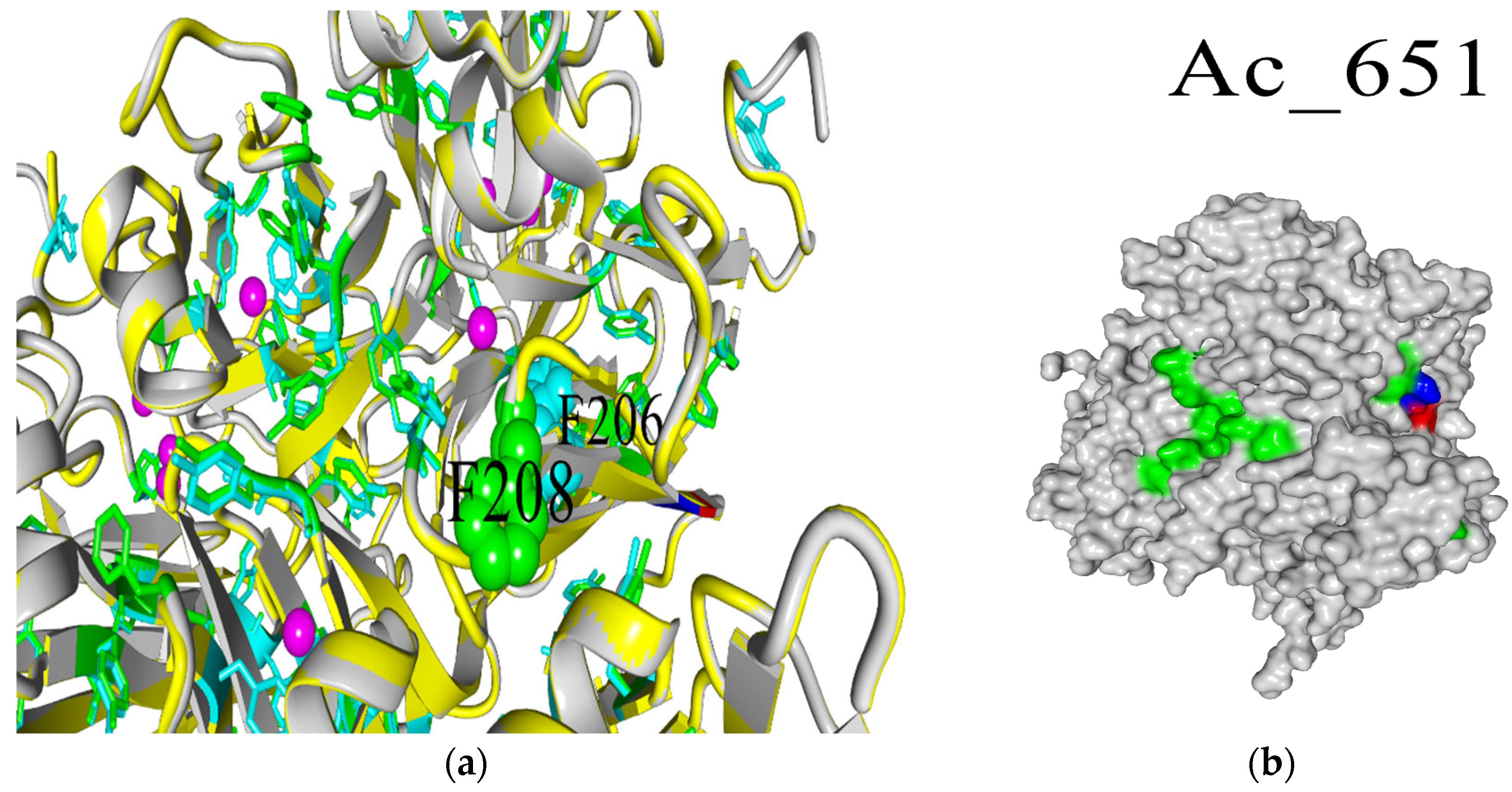 Ijms 26 09143 g006 Ijms 26 09143 g006