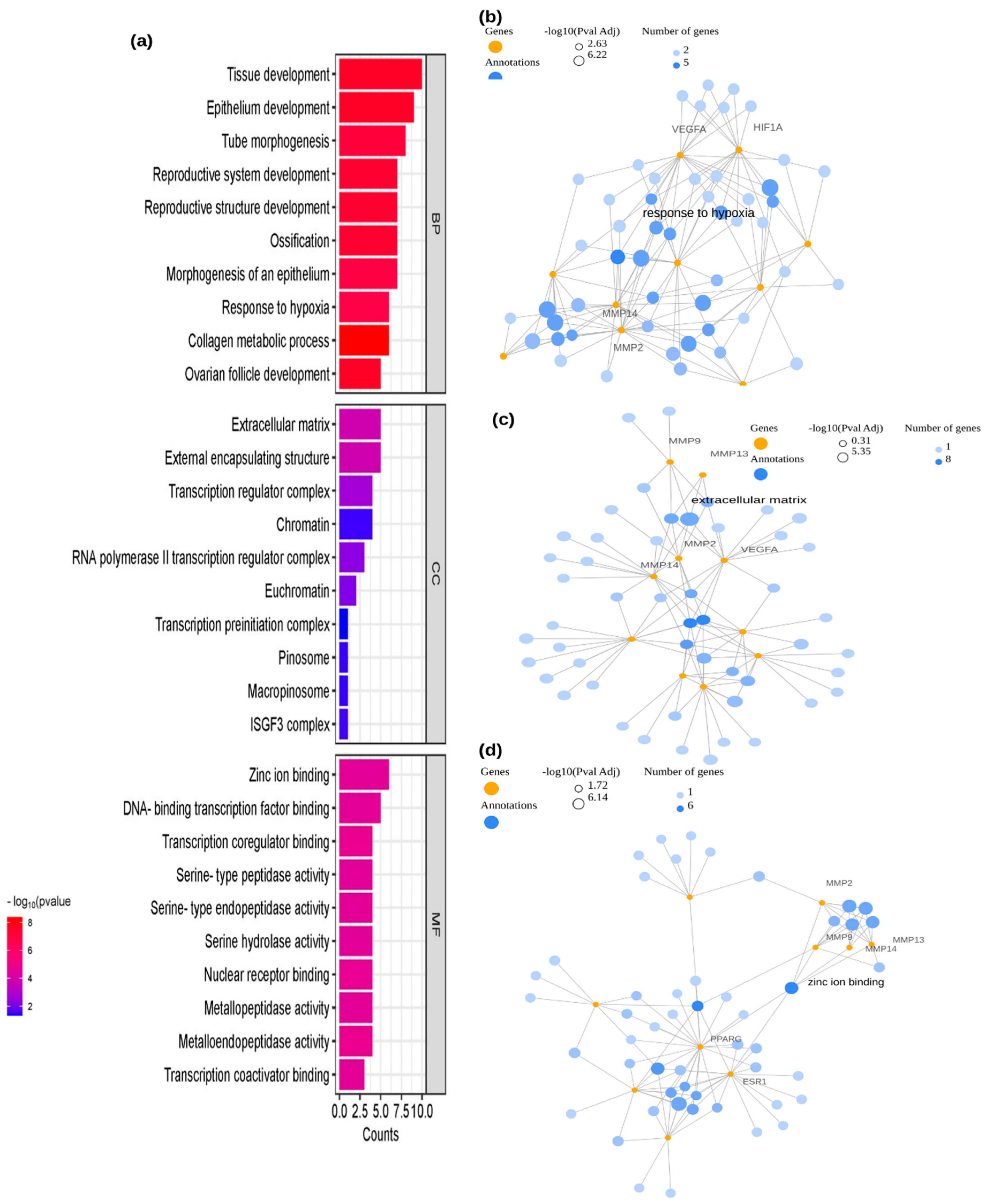 Ijms 26 09144 g002 Ijms 26 09144 g002