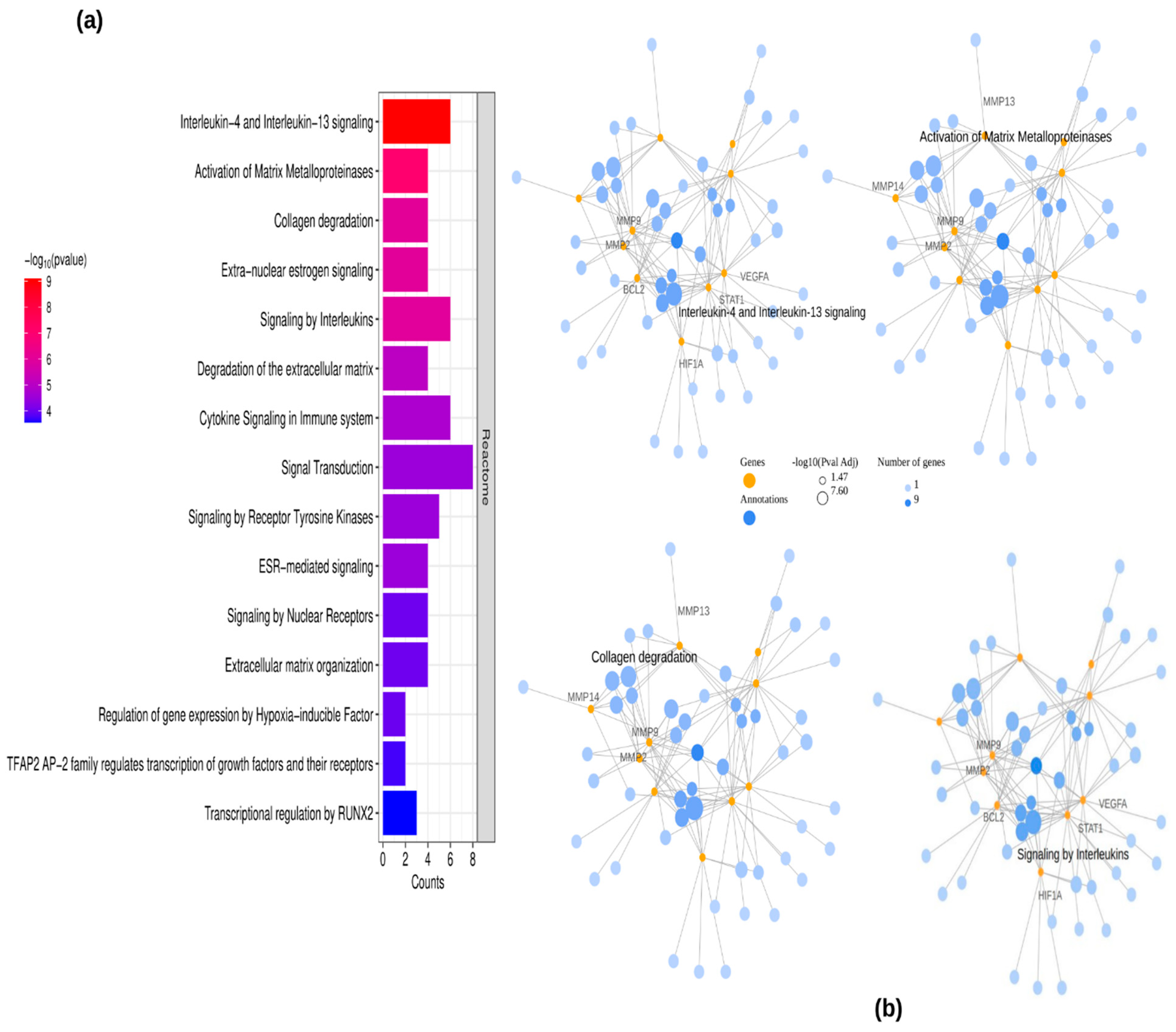 Ijms 26 09144 g003a Ijms 26 09144 g003a