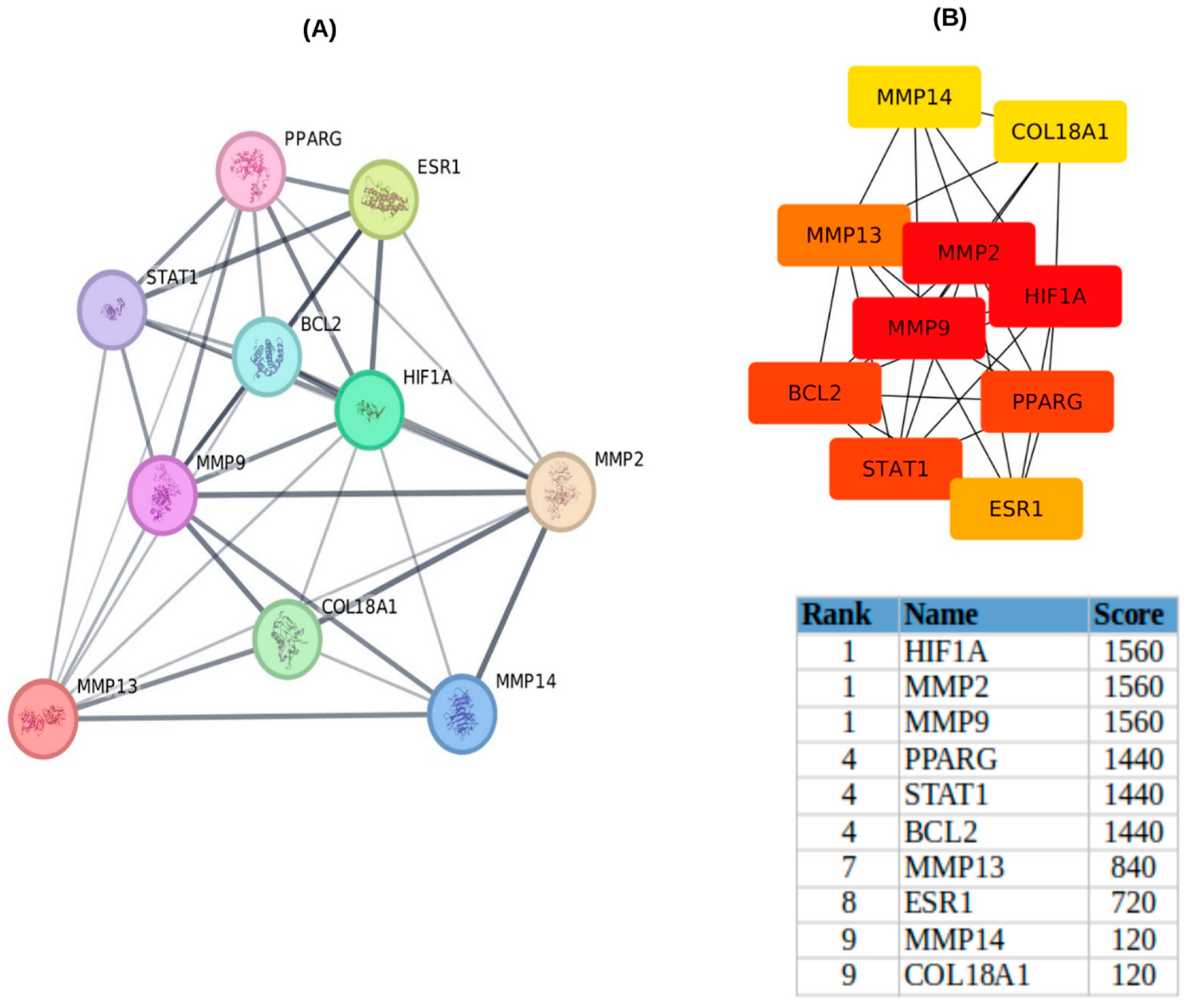 Ijms 26 09144 g005 Ijms 26 09144 g005