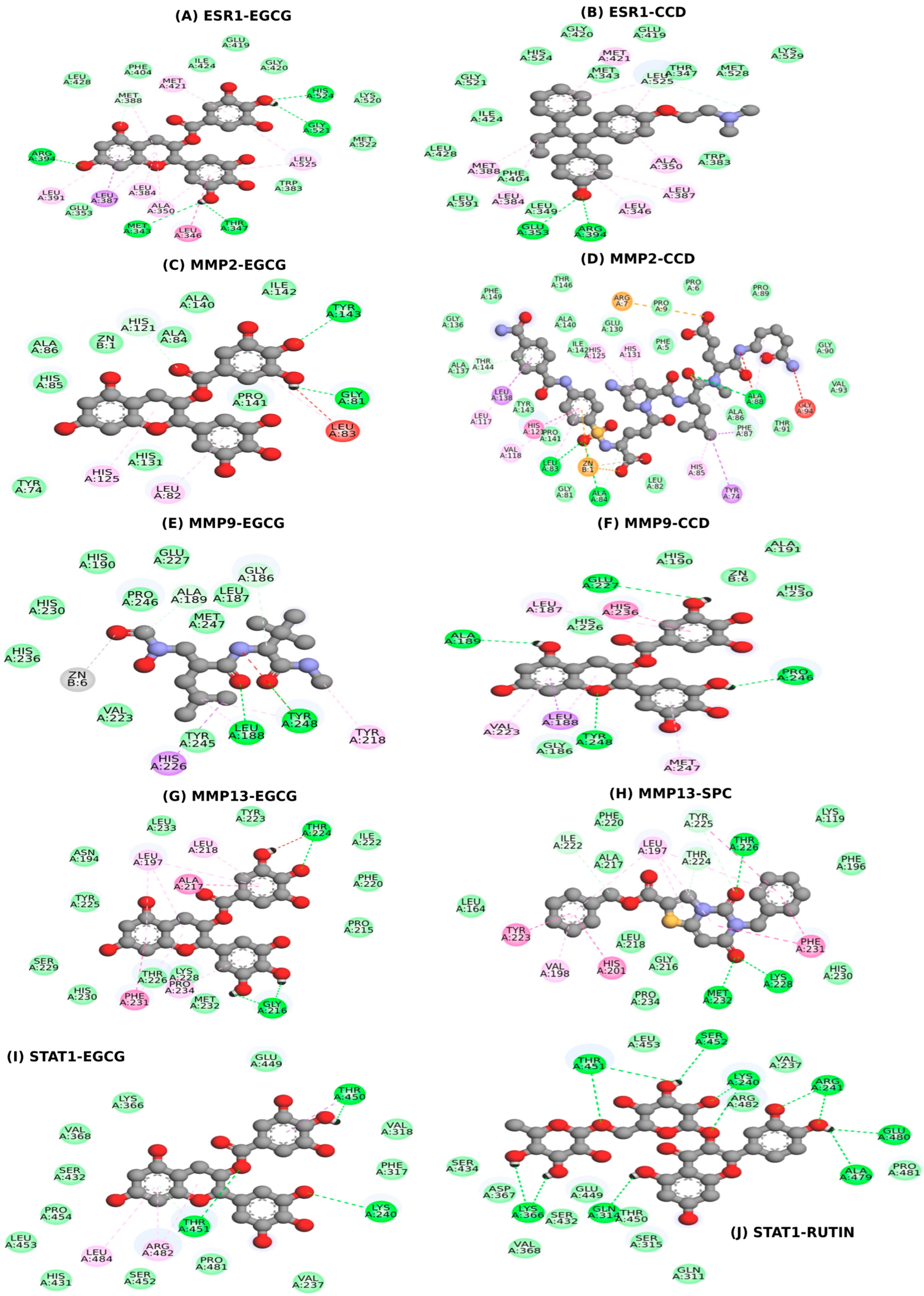 Ijms 26 09144 g006 Ijms 26 09144 g006