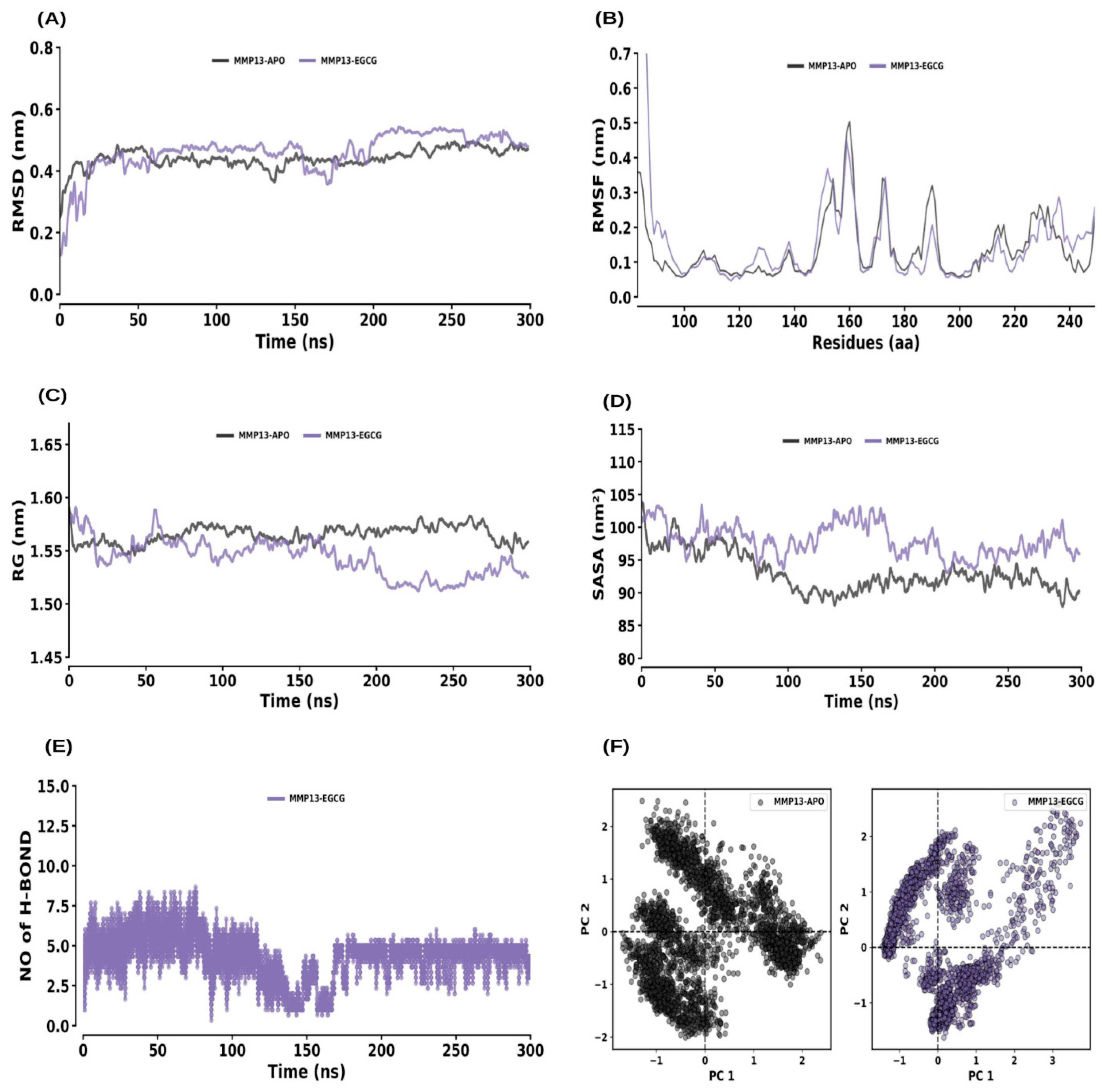 Ijms 26 09144 g010 Ijms 26 09144 g010
