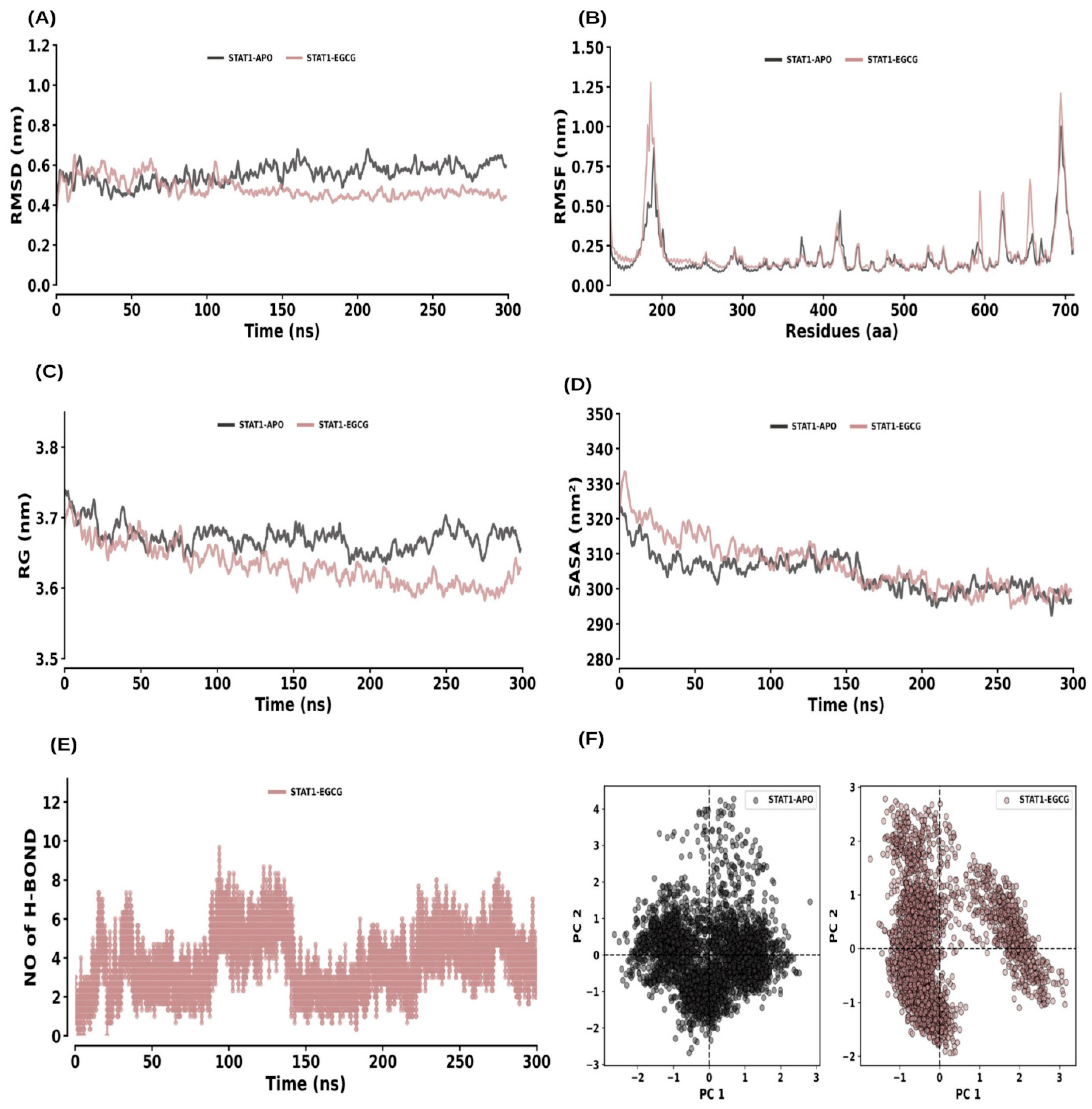 Ijms 26 09144 g011 Ijms 26 09144 g011