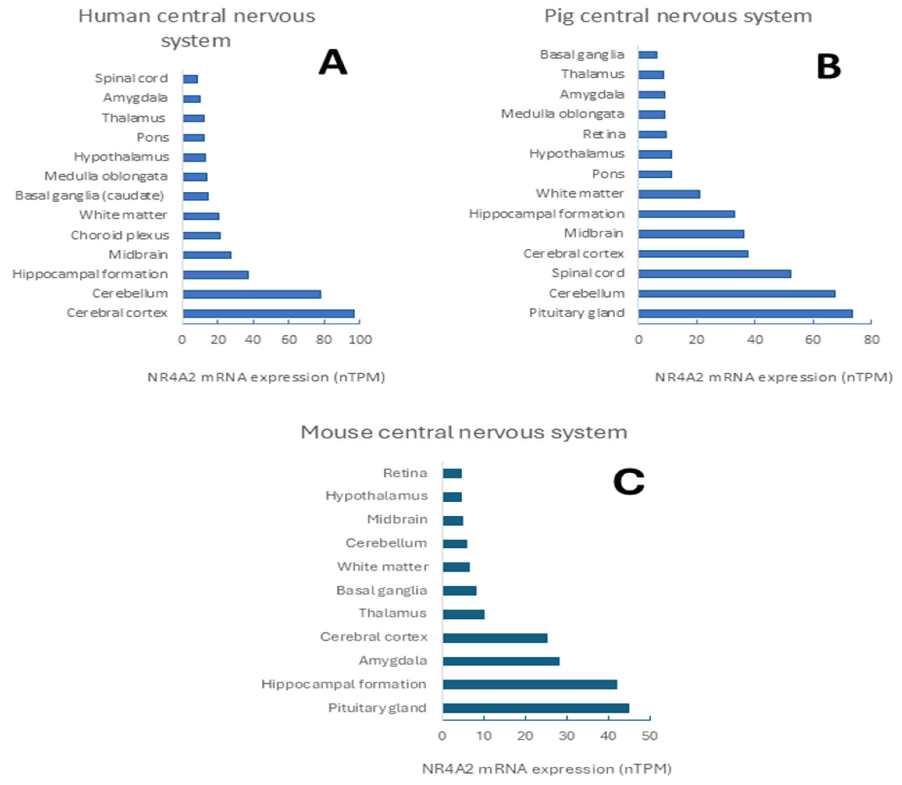 Ijms 26 09162 g002 Ijms 26 09162 g002