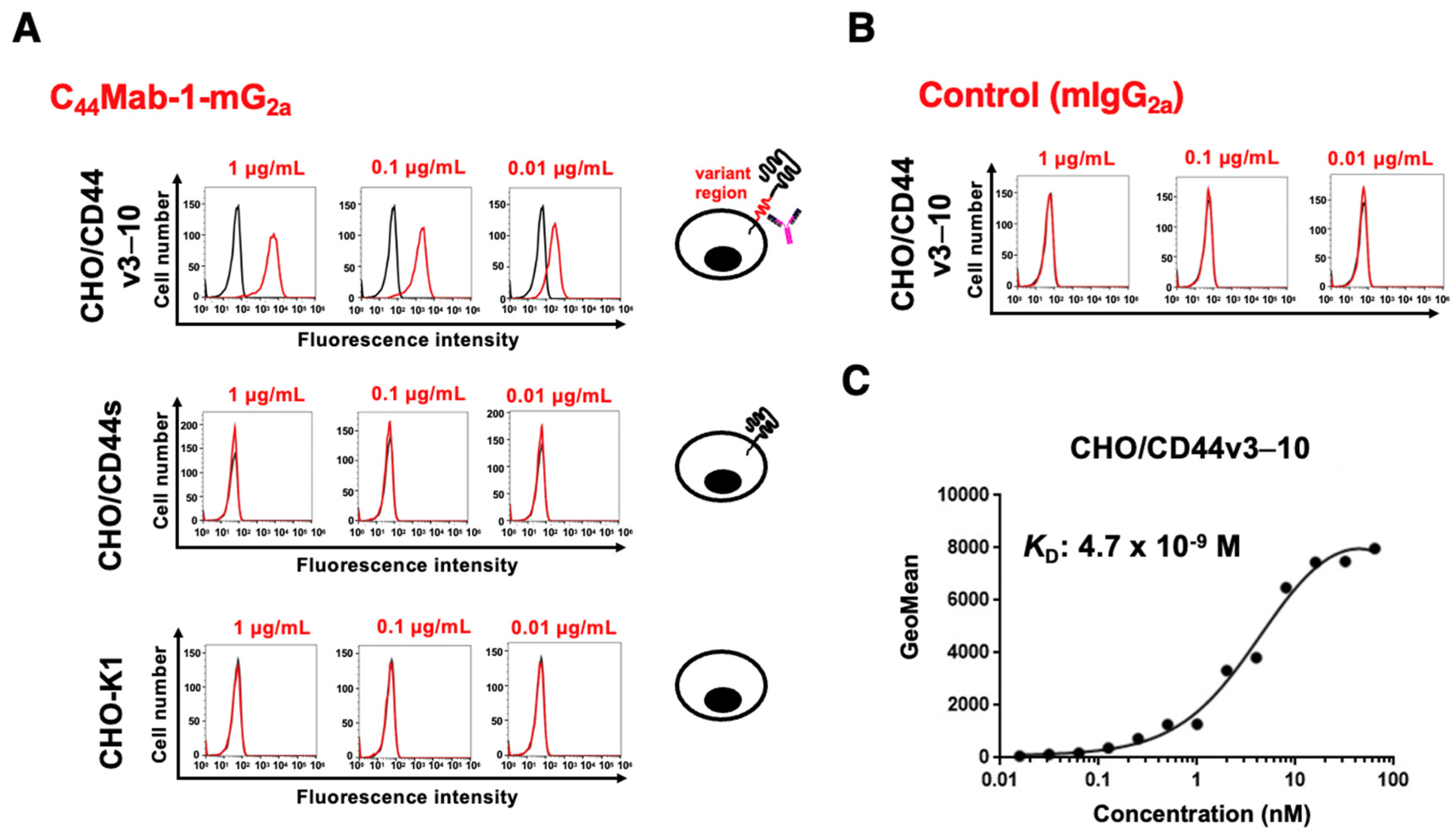 Ijms 26 09170 g002 Ijms 26 09170 g002