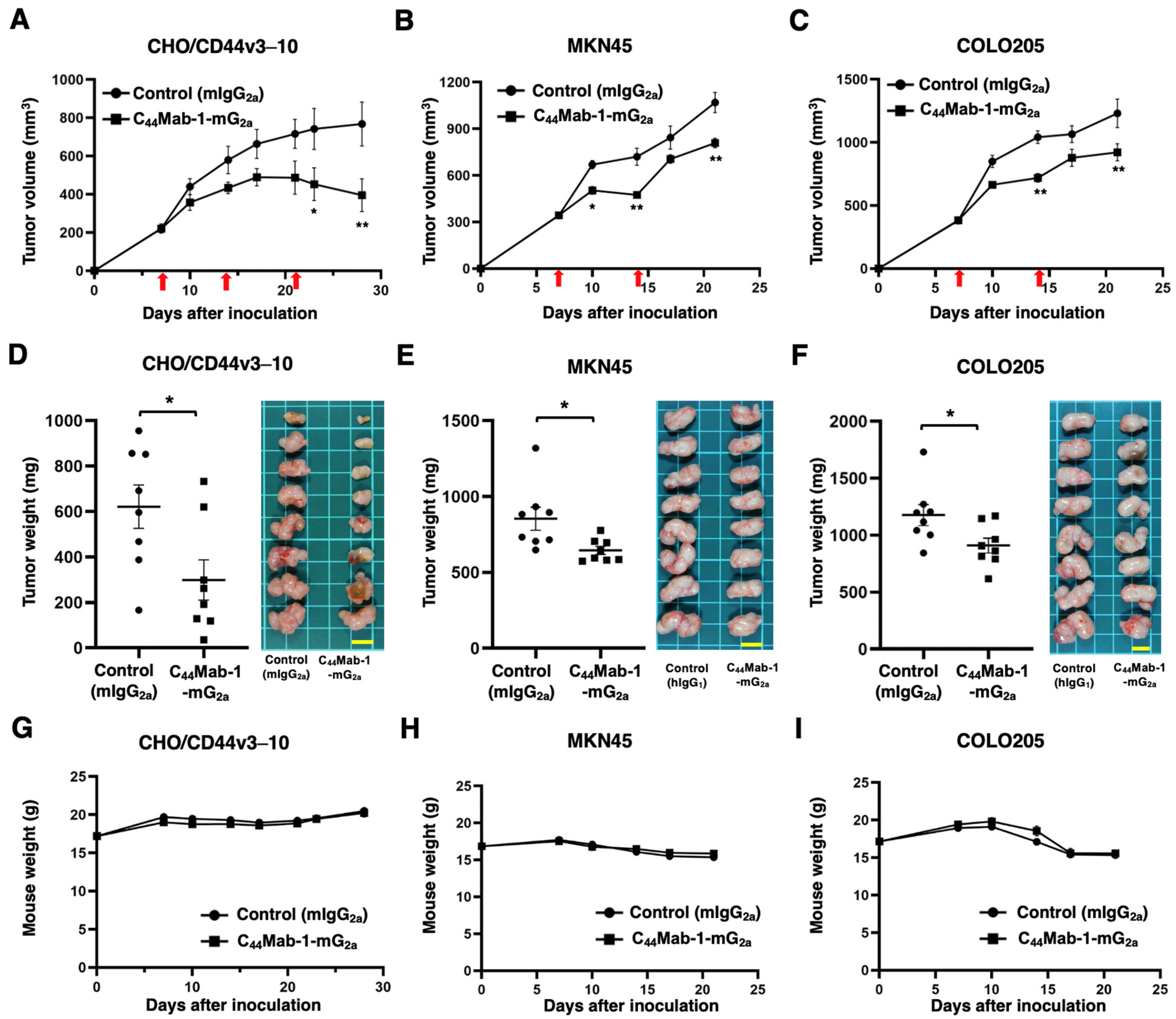 Ijms 26 09170 g007 Ijms 26 09170 g007