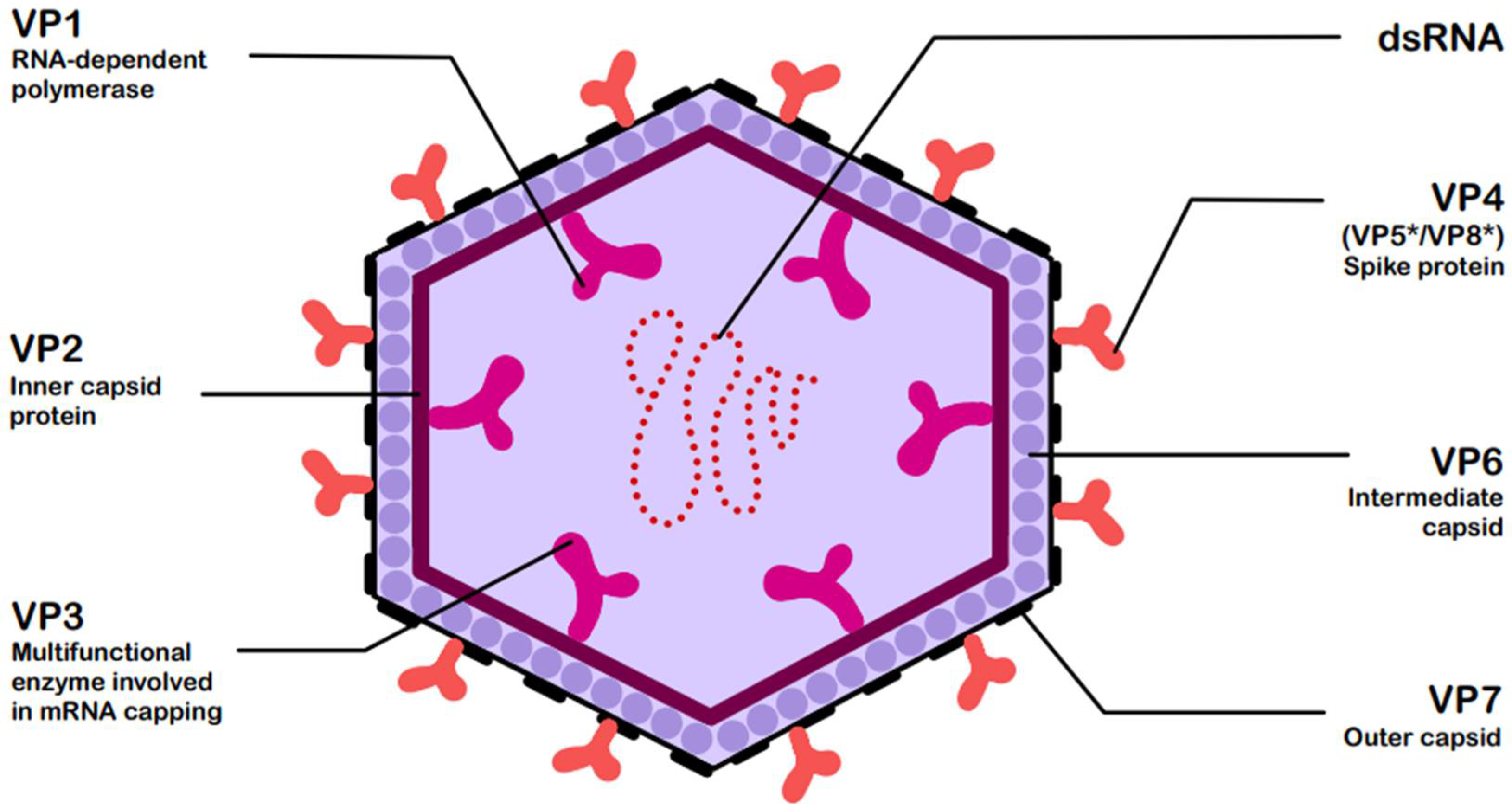 Ijms 26 09175 g001 Ijms 26 09175 g001
