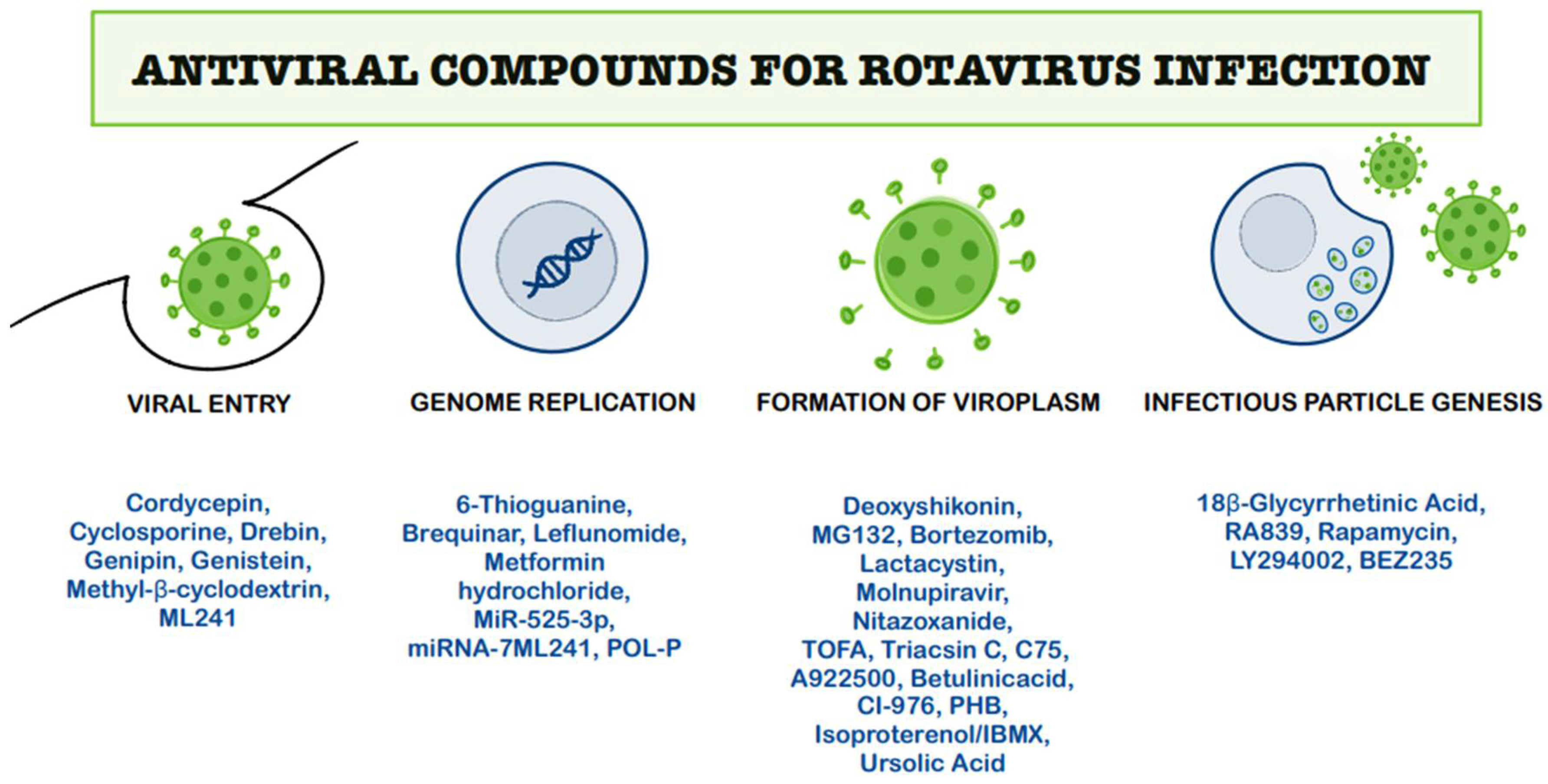 Ijms 26 09175 g005 Ijms 26 09175 g005