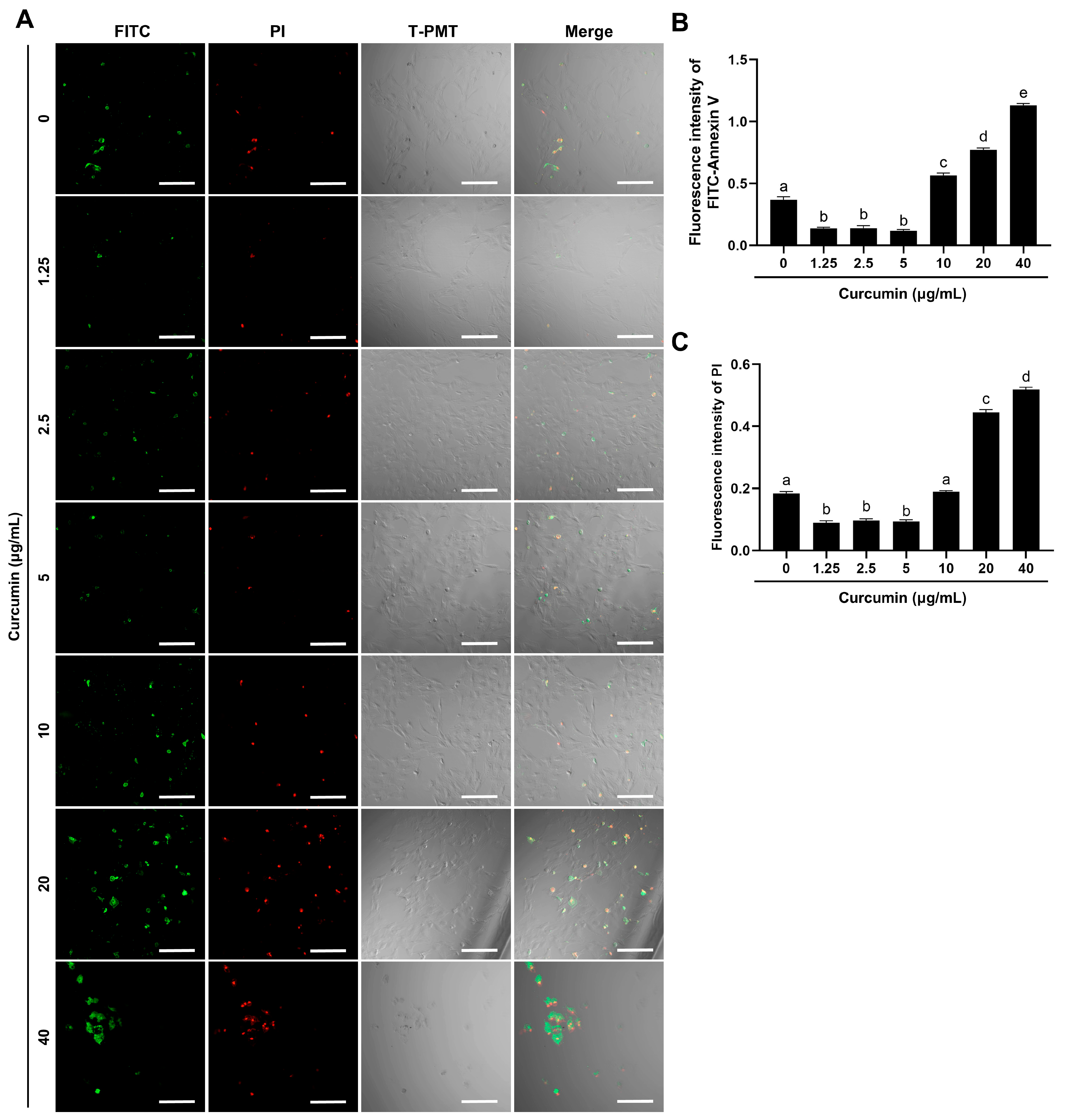 Ijms 26 09180 g002 Ijms 26 09180 g002