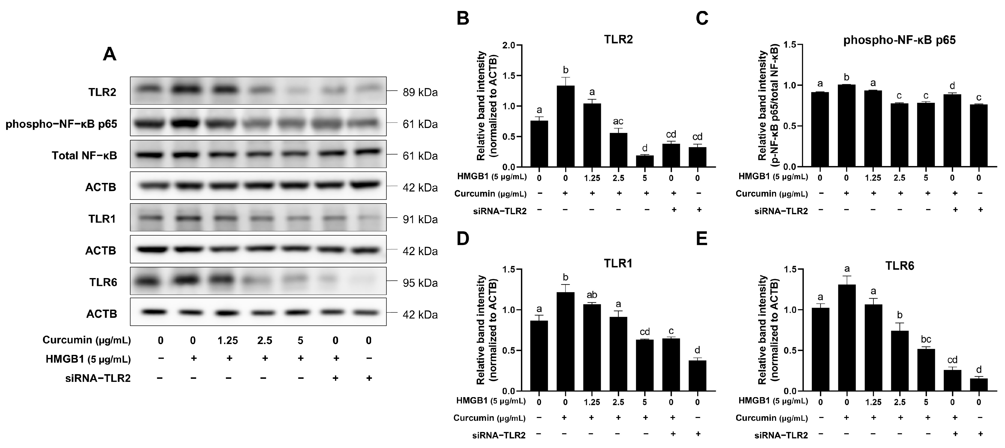 Ijms 26 09180 g004 Ijms 26 09180 g004