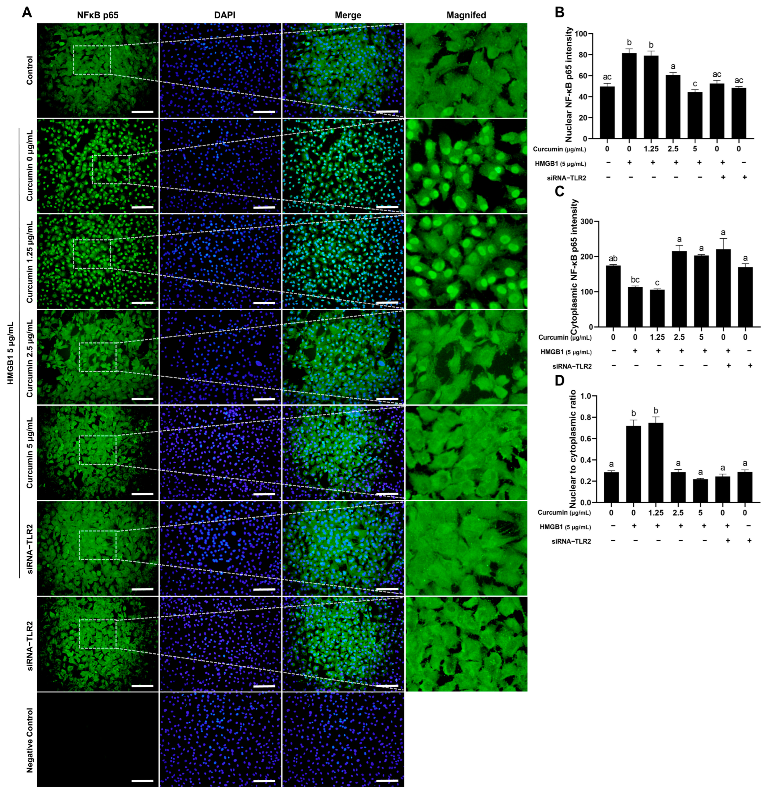 Ijms 26 09180 g005 Ijms 26 09180 g005