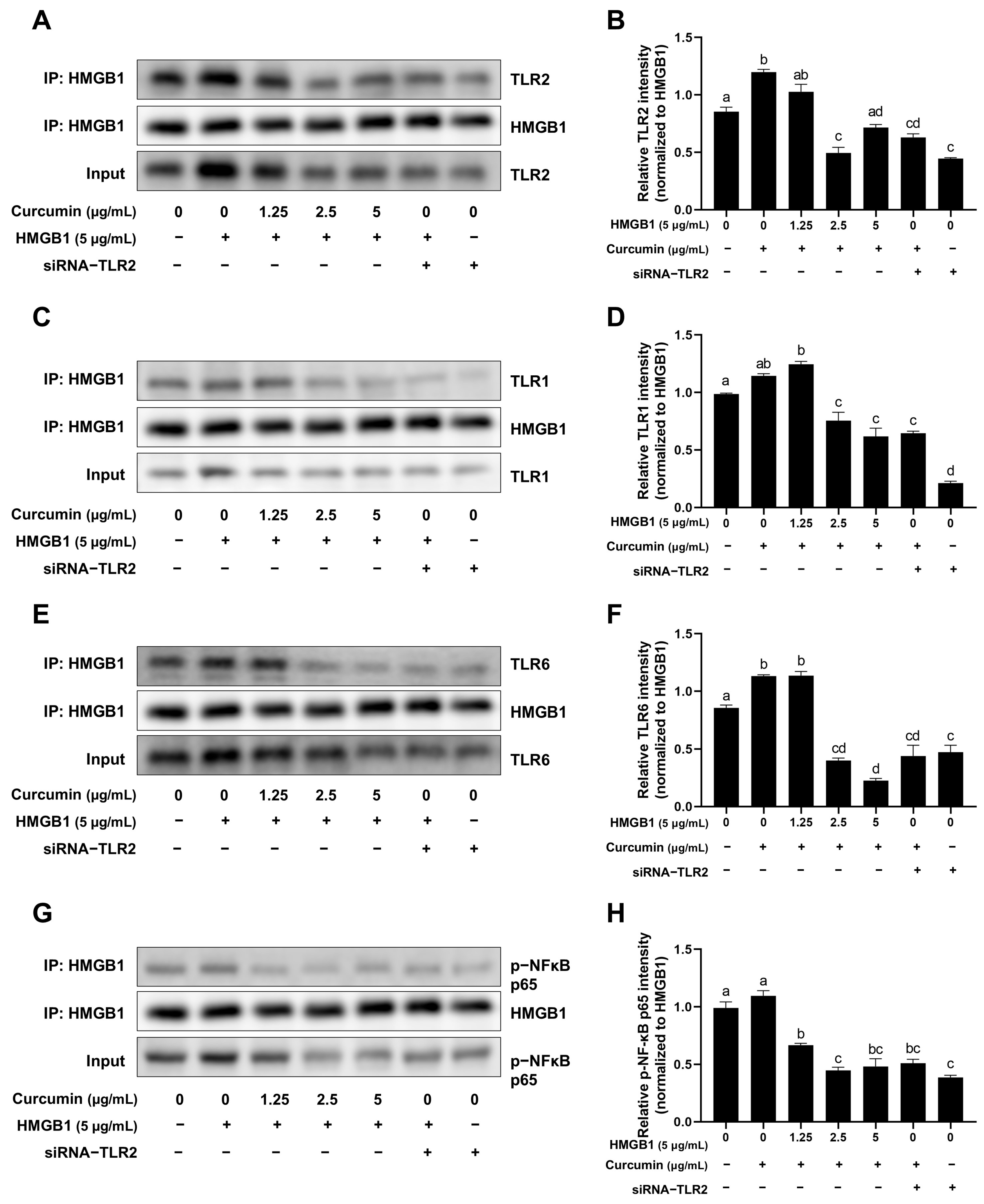 Ijms 26 09180 g006 Ijms 26 09180 g006