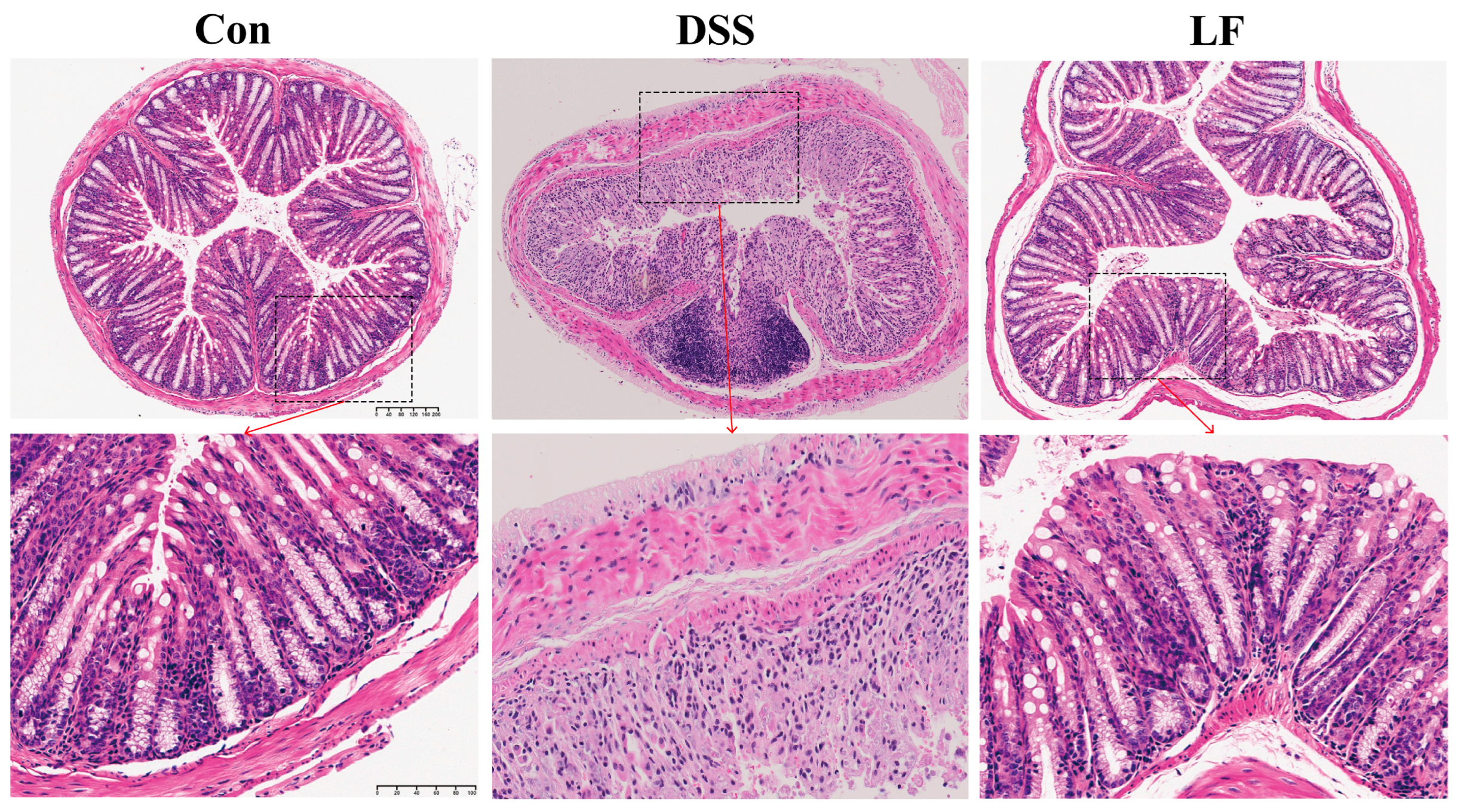 Ijms 26 09181 g002 Ijms 26 09181 g002