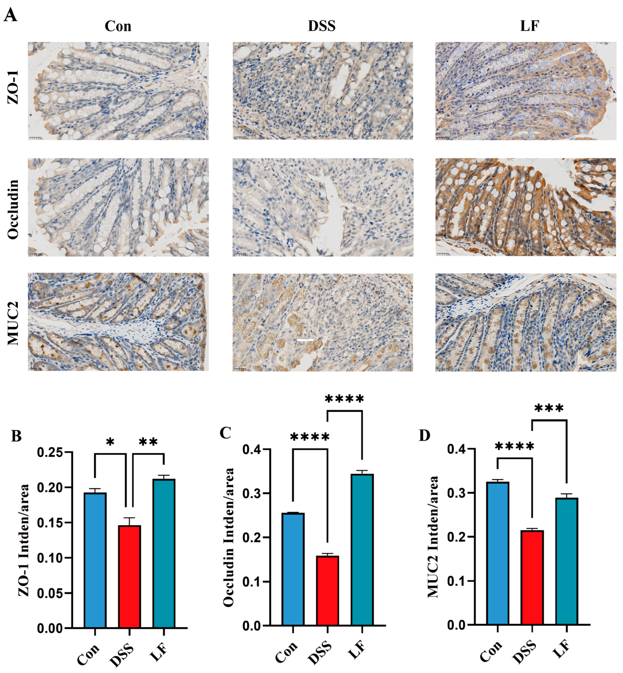 Ijms 26 09181 g003 Ijms 26 09181 g003