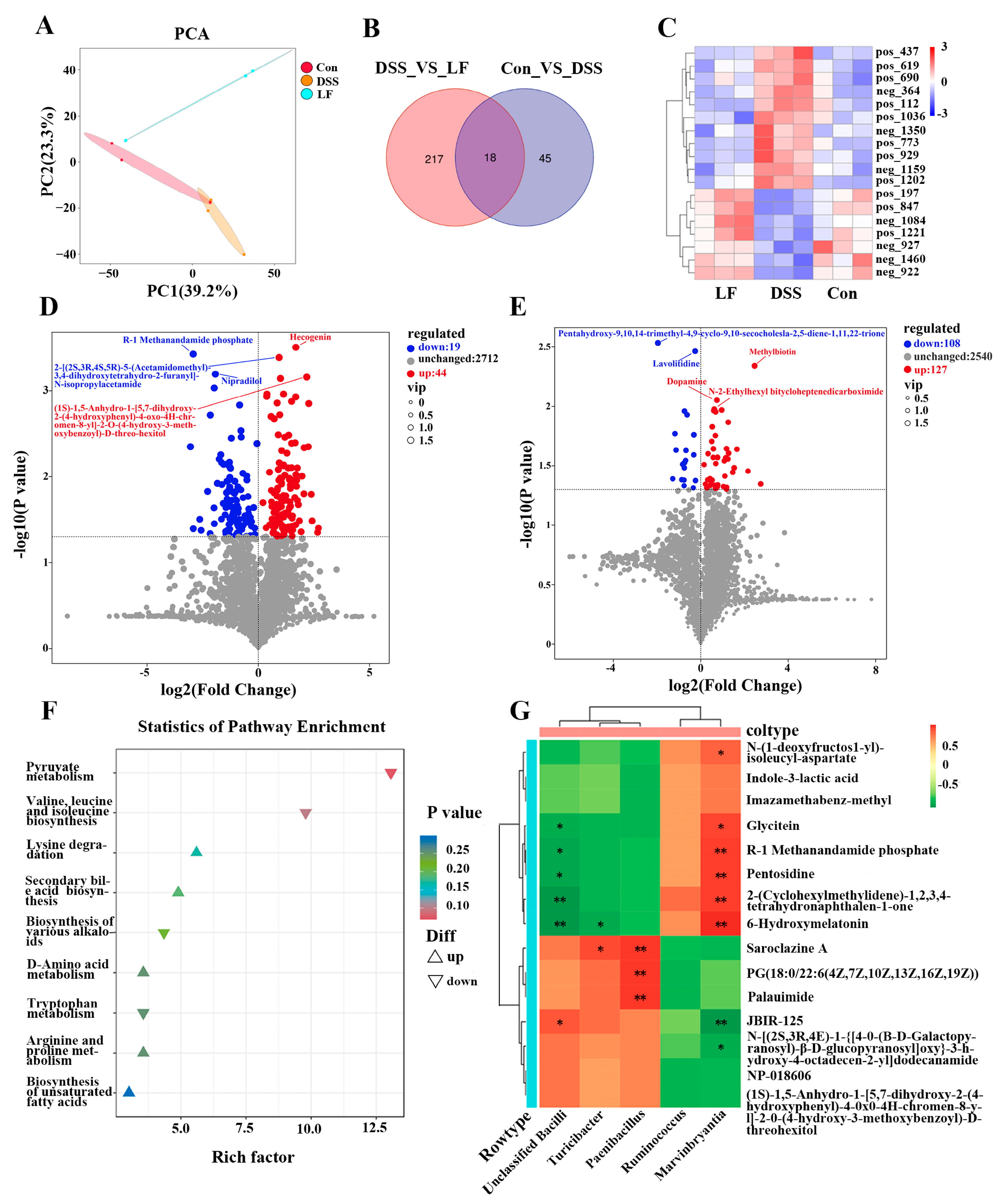 Ijms 26 09181 g007 Ijms 26 09181 g007