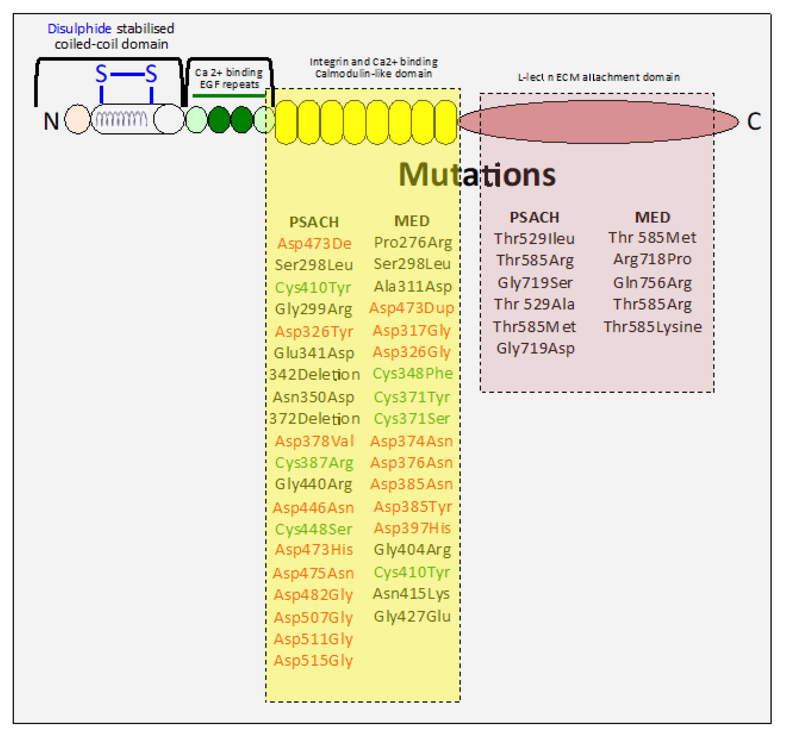 Ijms 26 09182 g004 Ijms 26 09182 g004