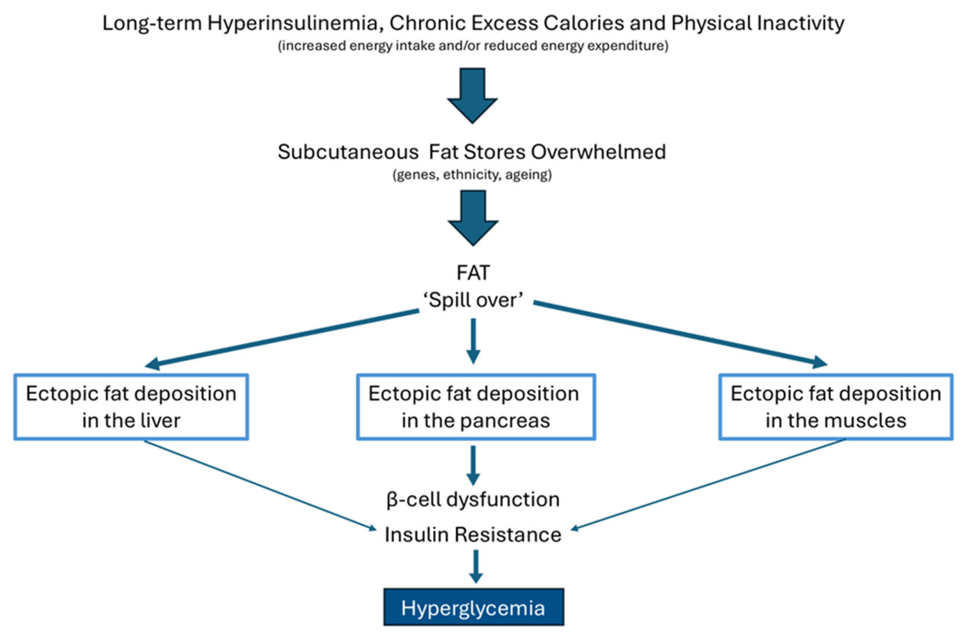 Ijms 26 09191 g005 Ijms 26 09191 g005