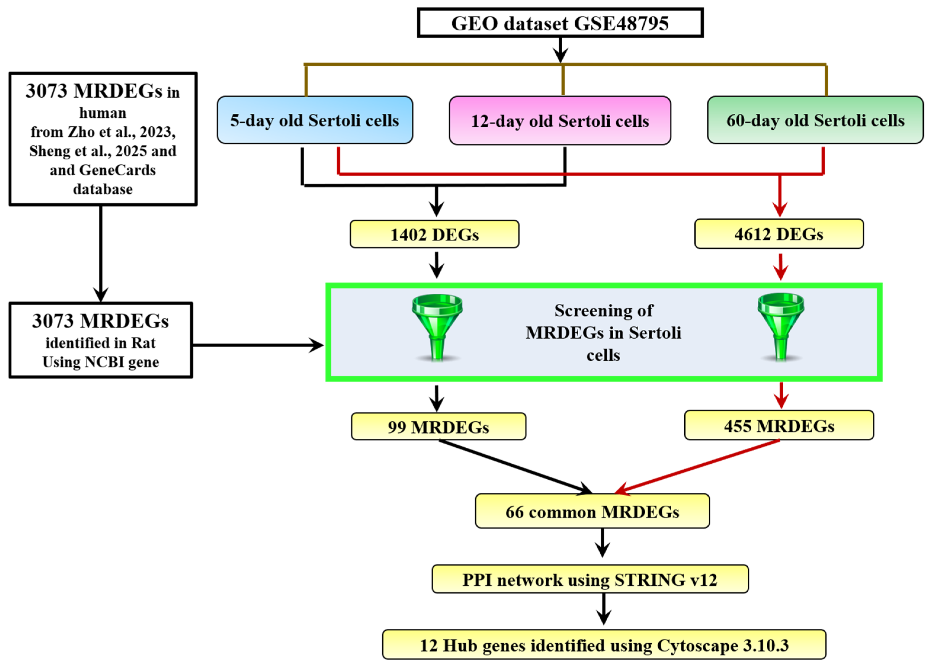 Ijms 26 09209 g001 Ijms 26 09209 g001