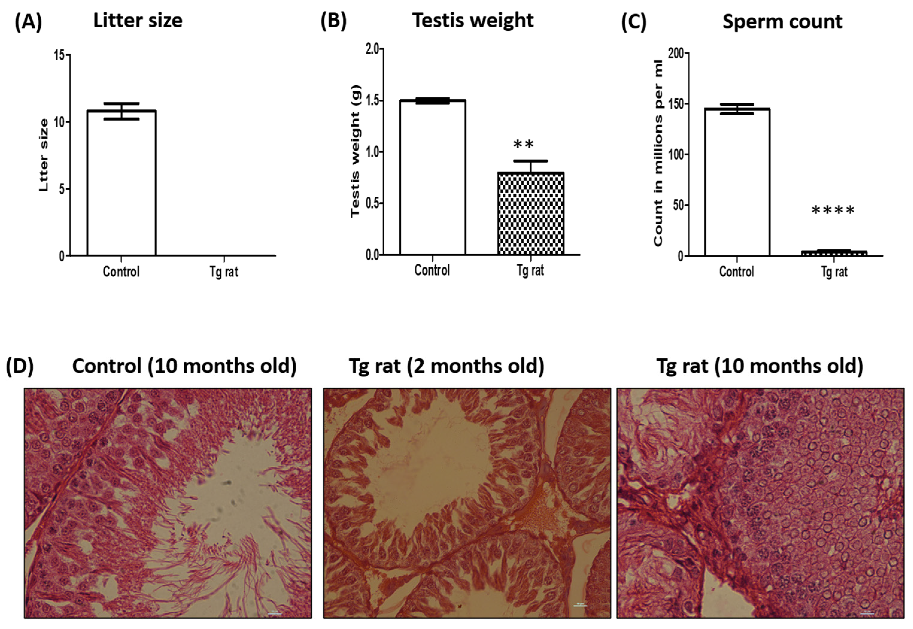 Ijms 26 09209 g006 Ijms 26 09209 g006