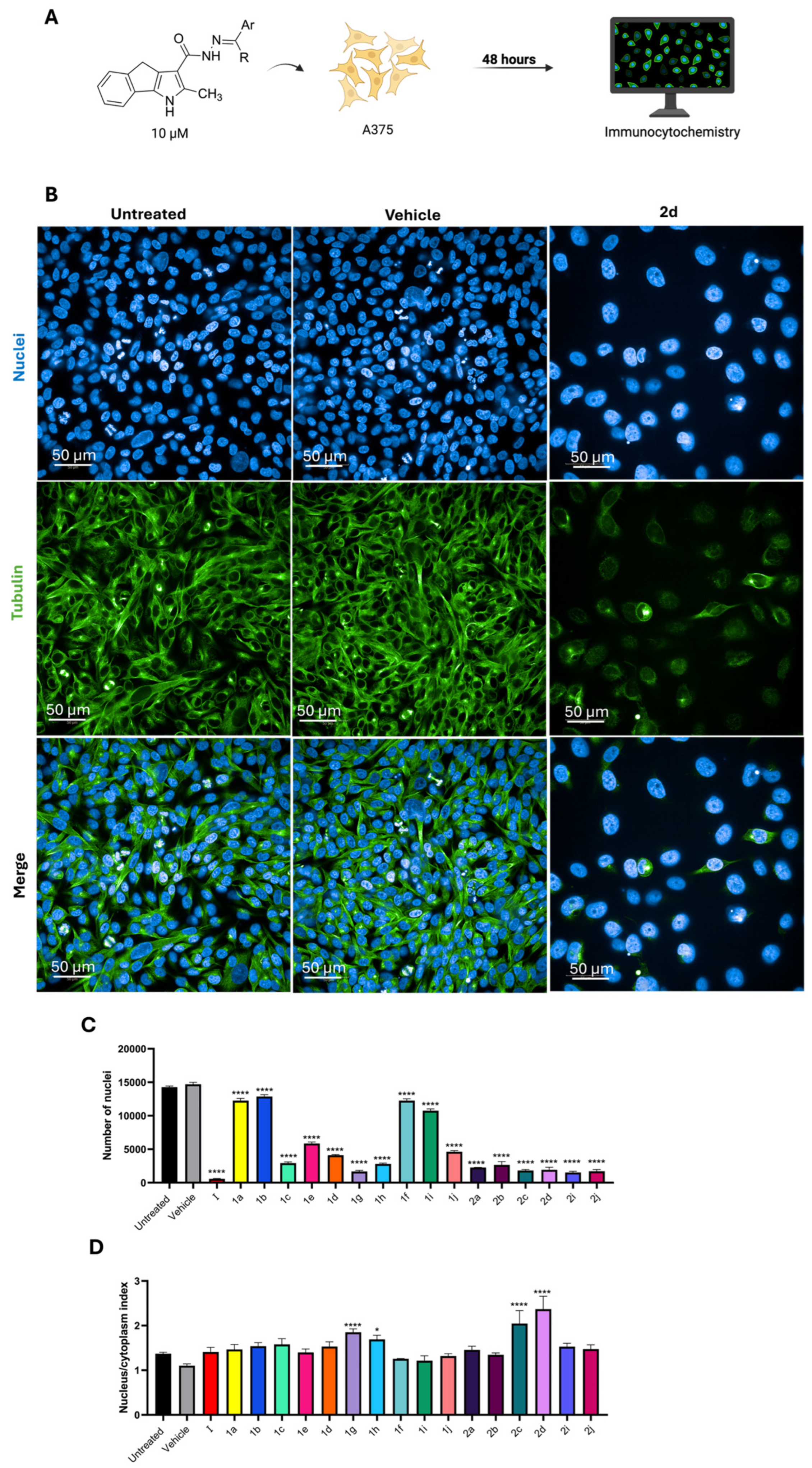 Ijms 26 09212 g003 Ijms 26 09212 g003